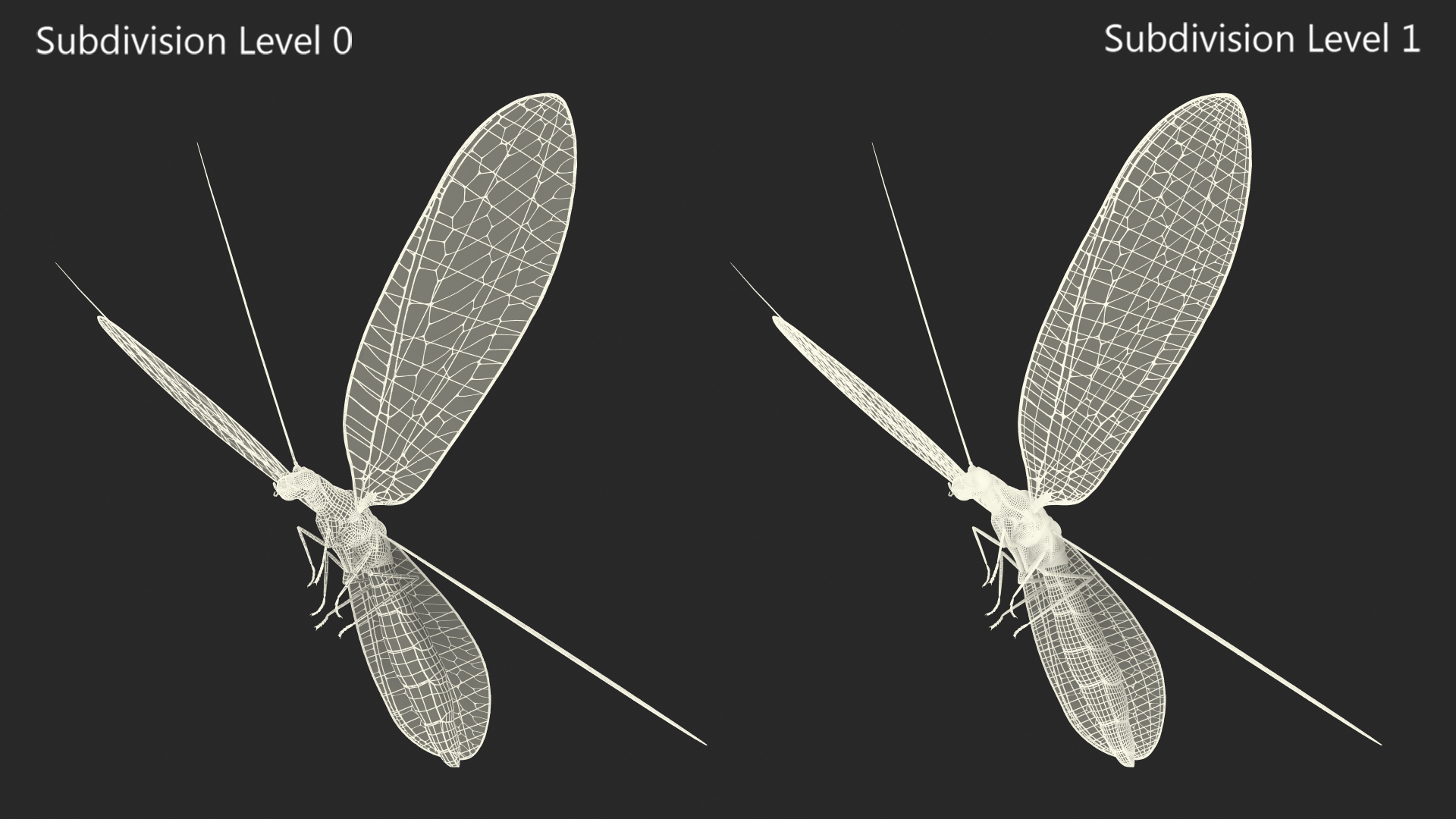 3D Green Lacewing in Flight Fur model