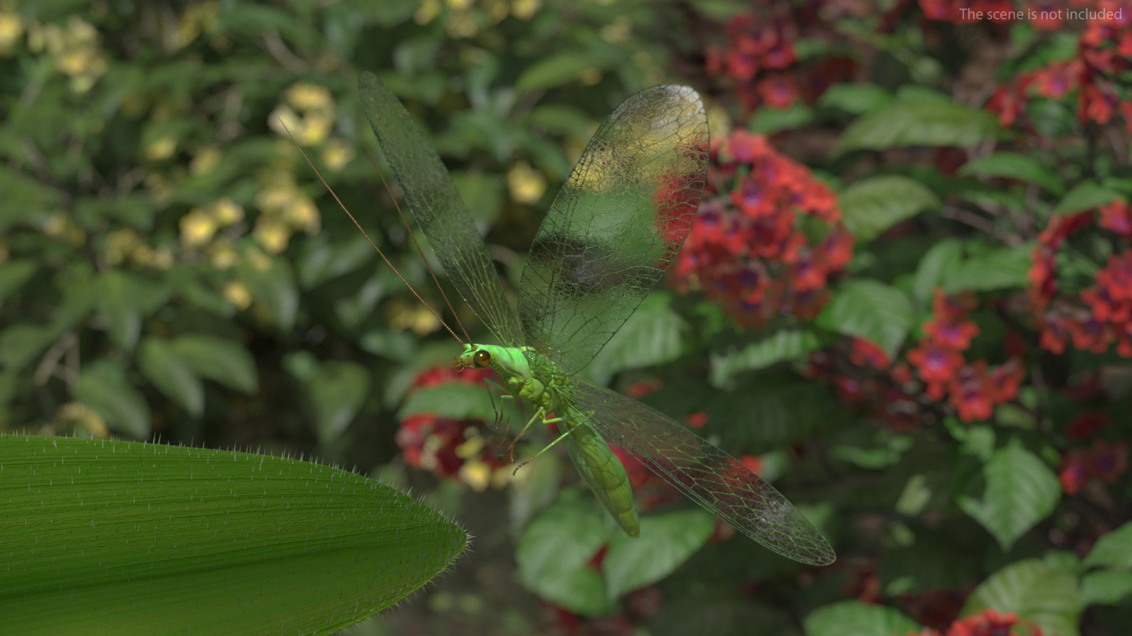 3D Green Lacewing in Flight Fur model