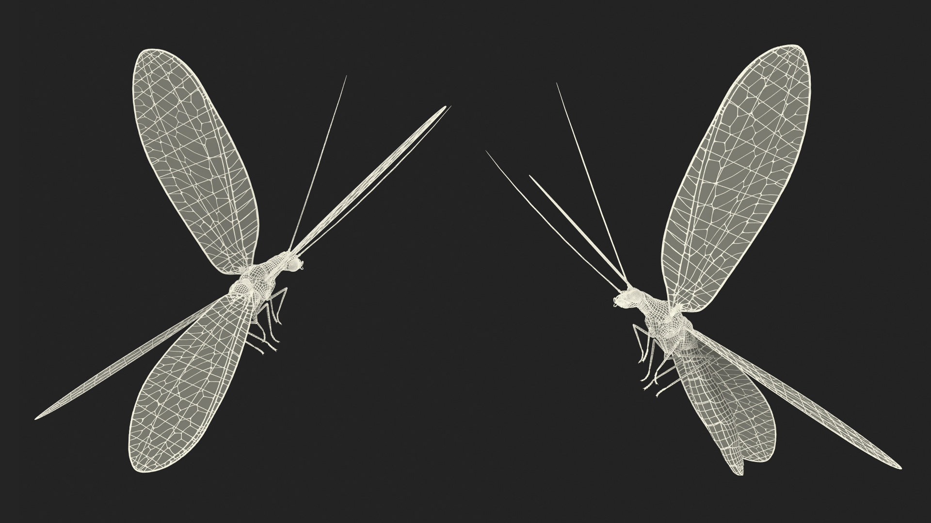 3D Green Lacewing in Flight Fur model