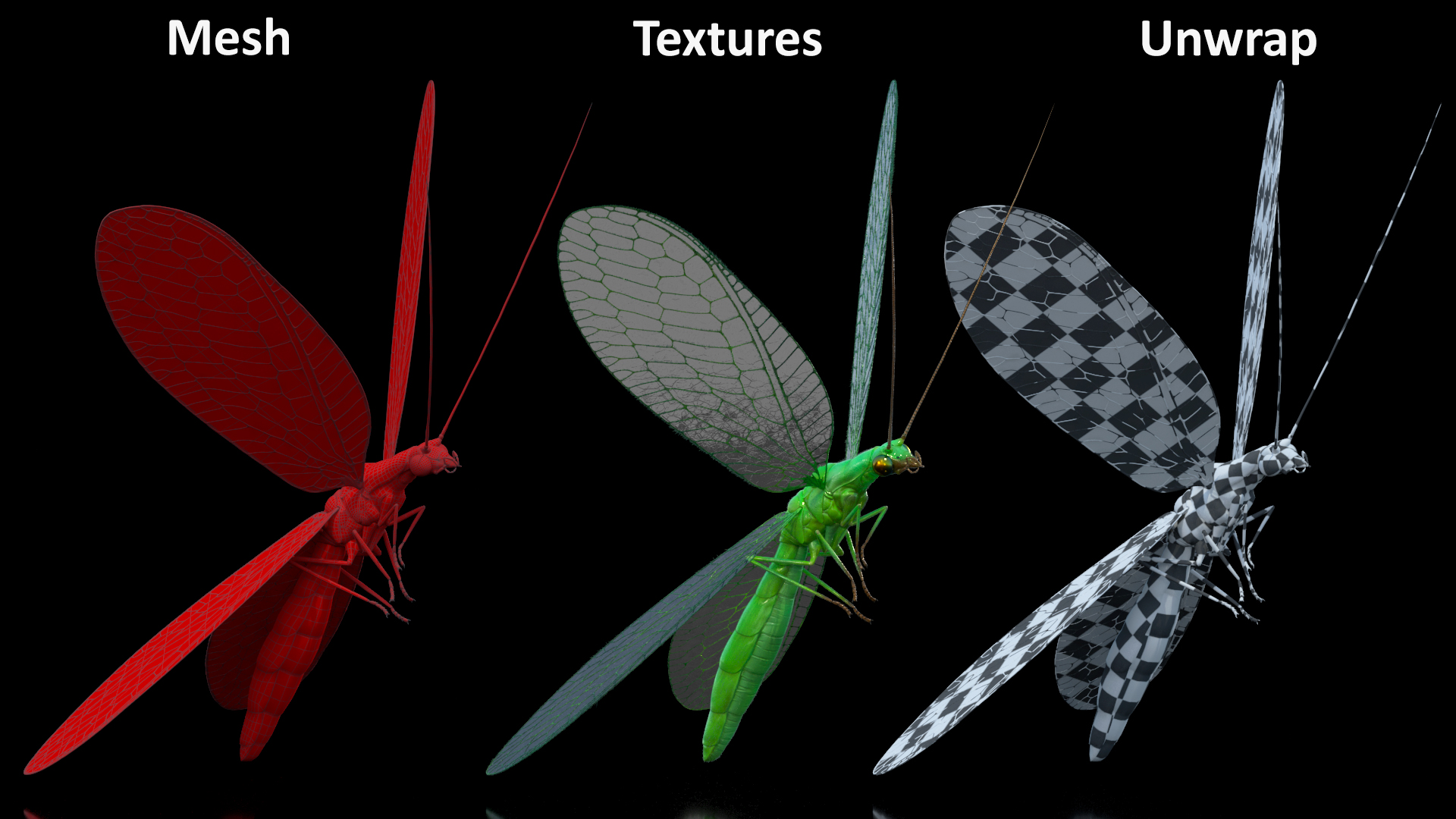 3D Green Lacewing in Flight Fur model