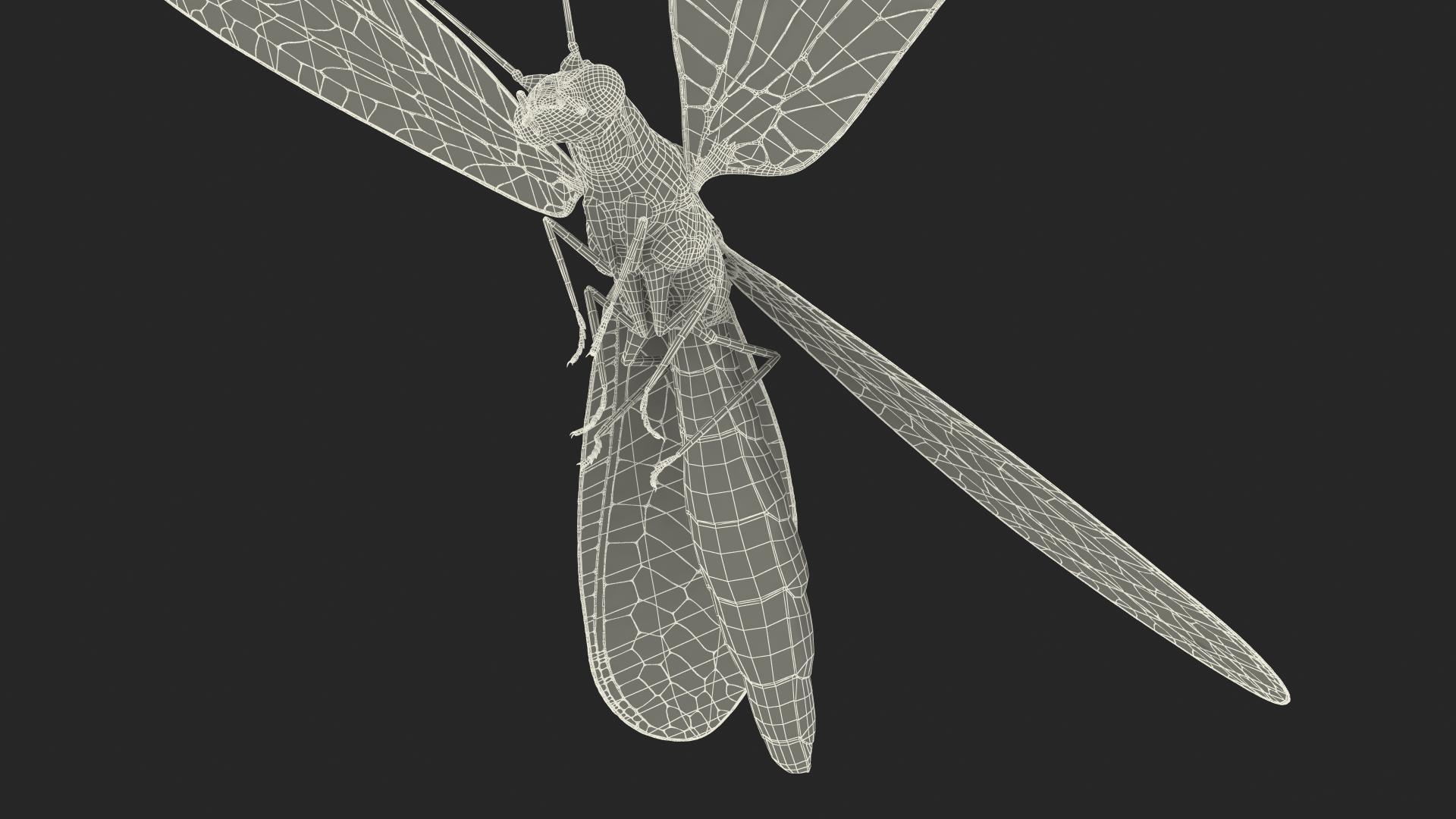 3D Green Lacewing in Flight Fur model