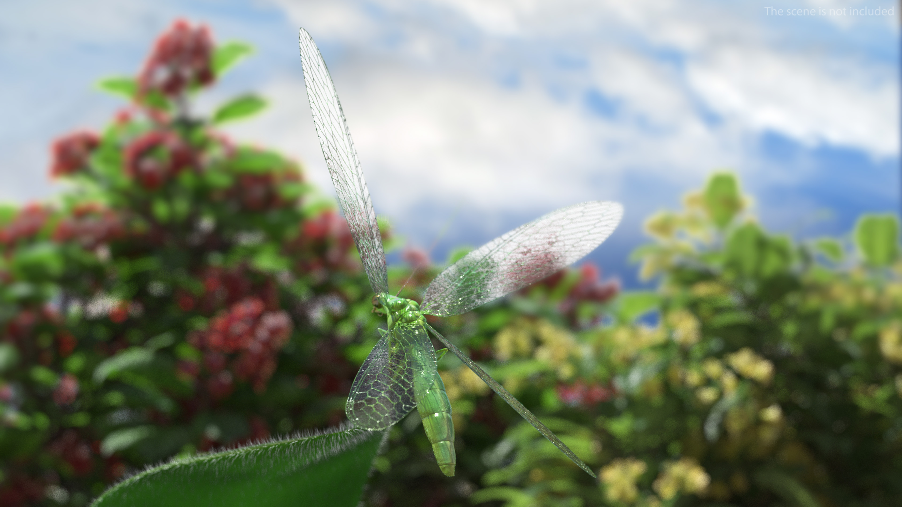 3D Green Lacewing in Flight Fur model