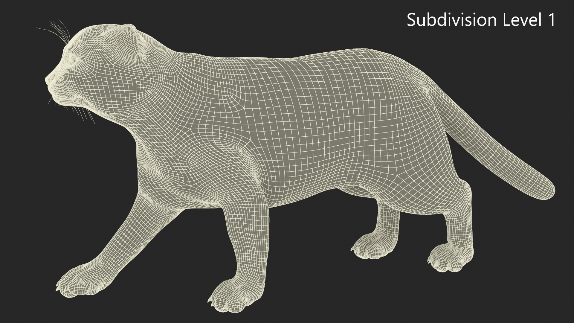 3D Pallas Cat Fur Rigged