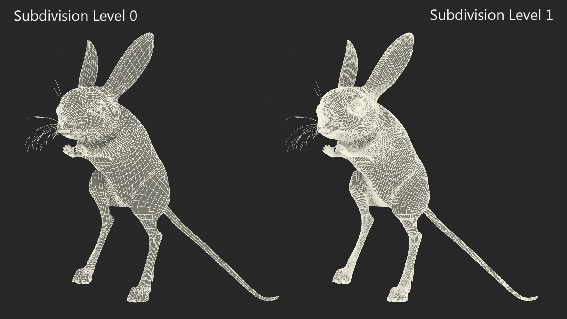 3D Jumping Jerboa Fur model