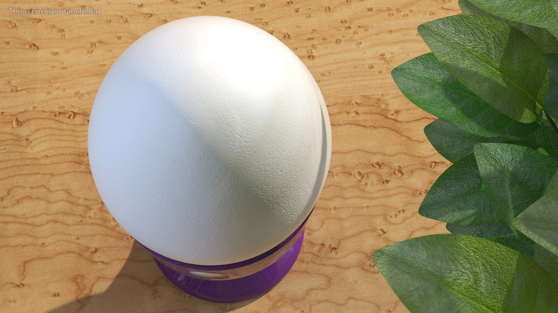 3D model Egg Holder with White Egg