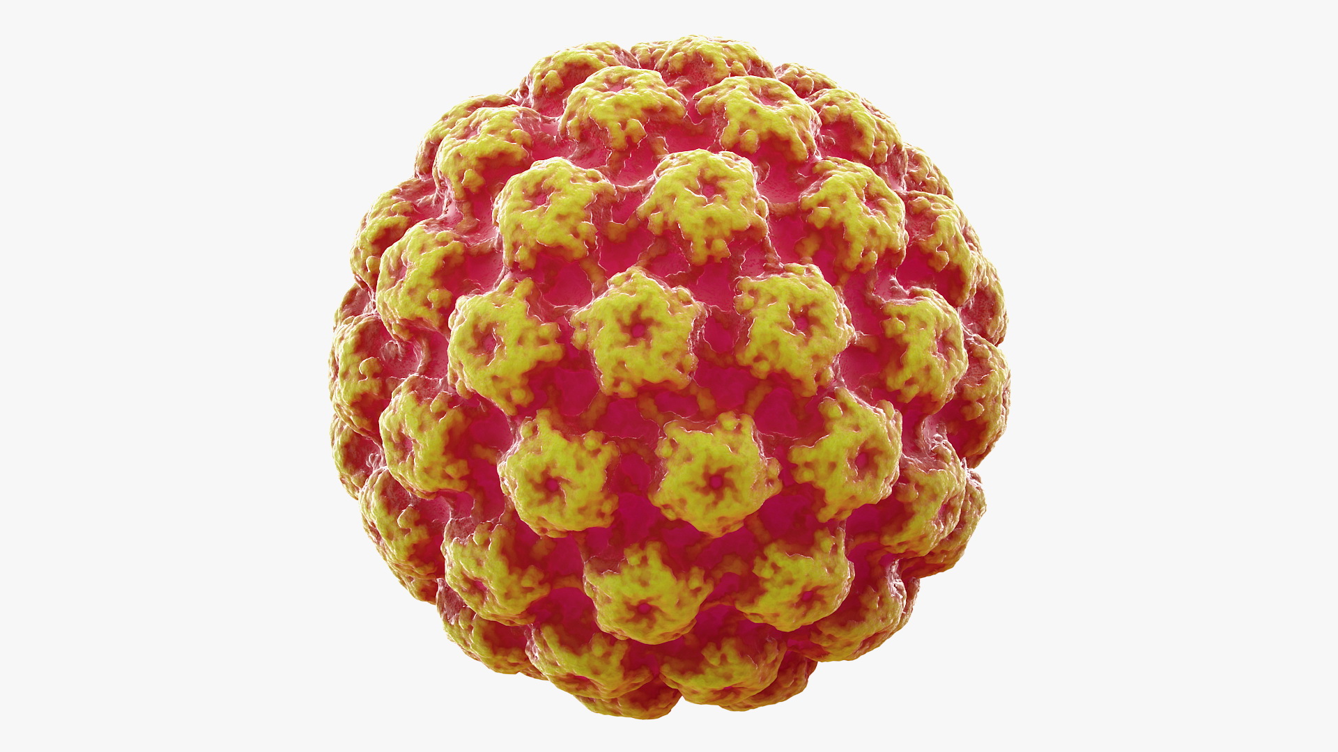 Virus Bacteria 3D model