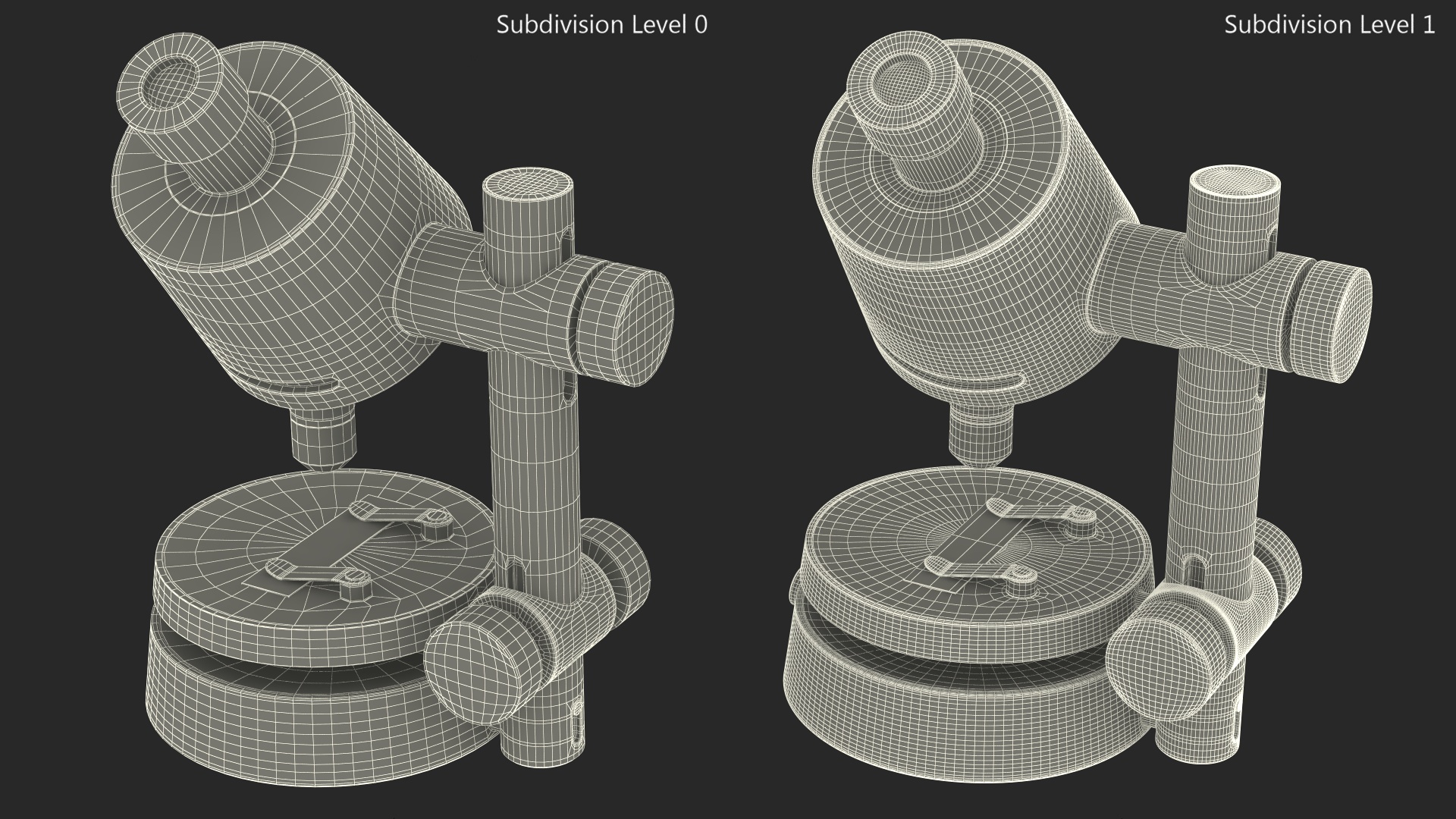 3D Transmitted Light Microscope Gray model