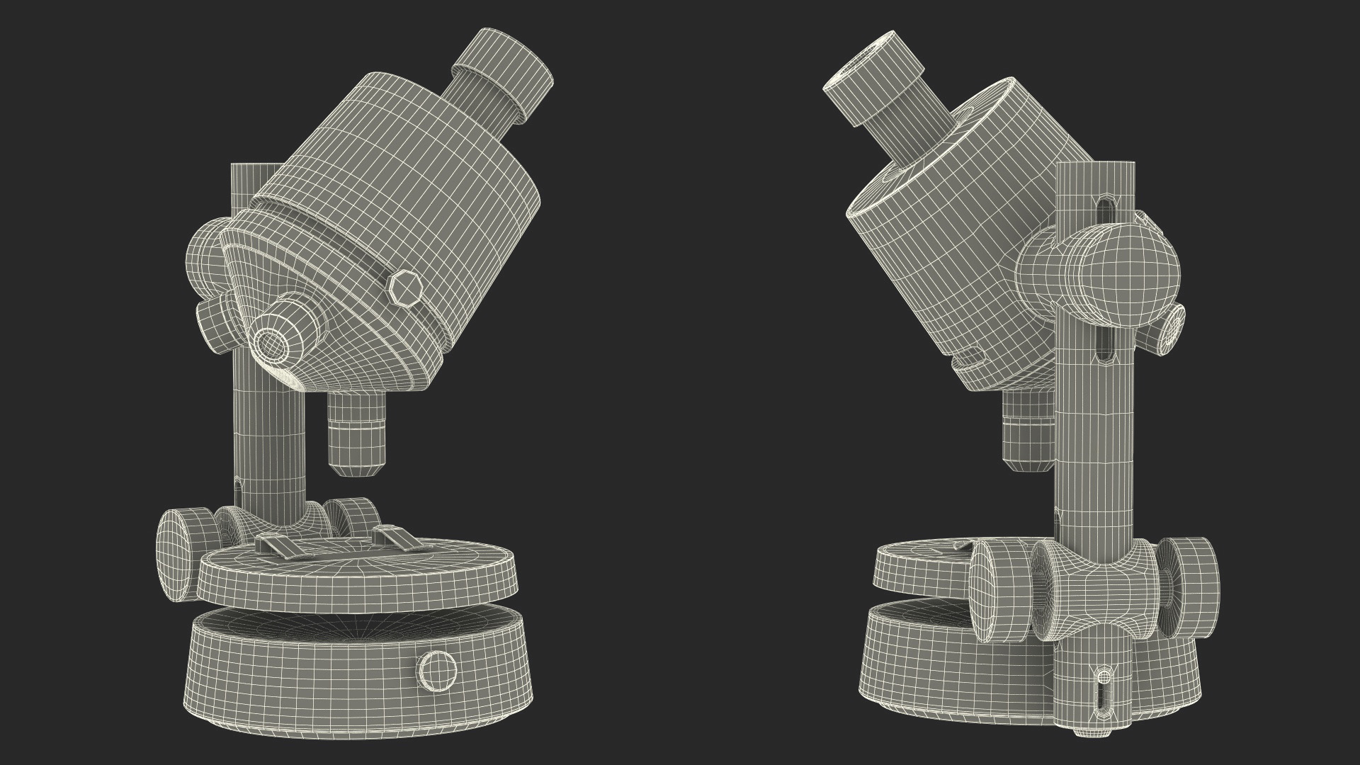 3D Transmitted Light Microscope Gray model