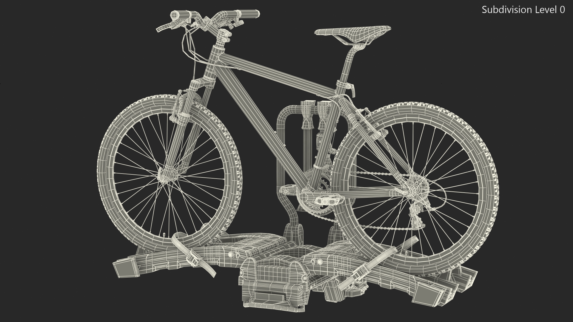 3D model Hitch Bike Racks with Mountain Bike