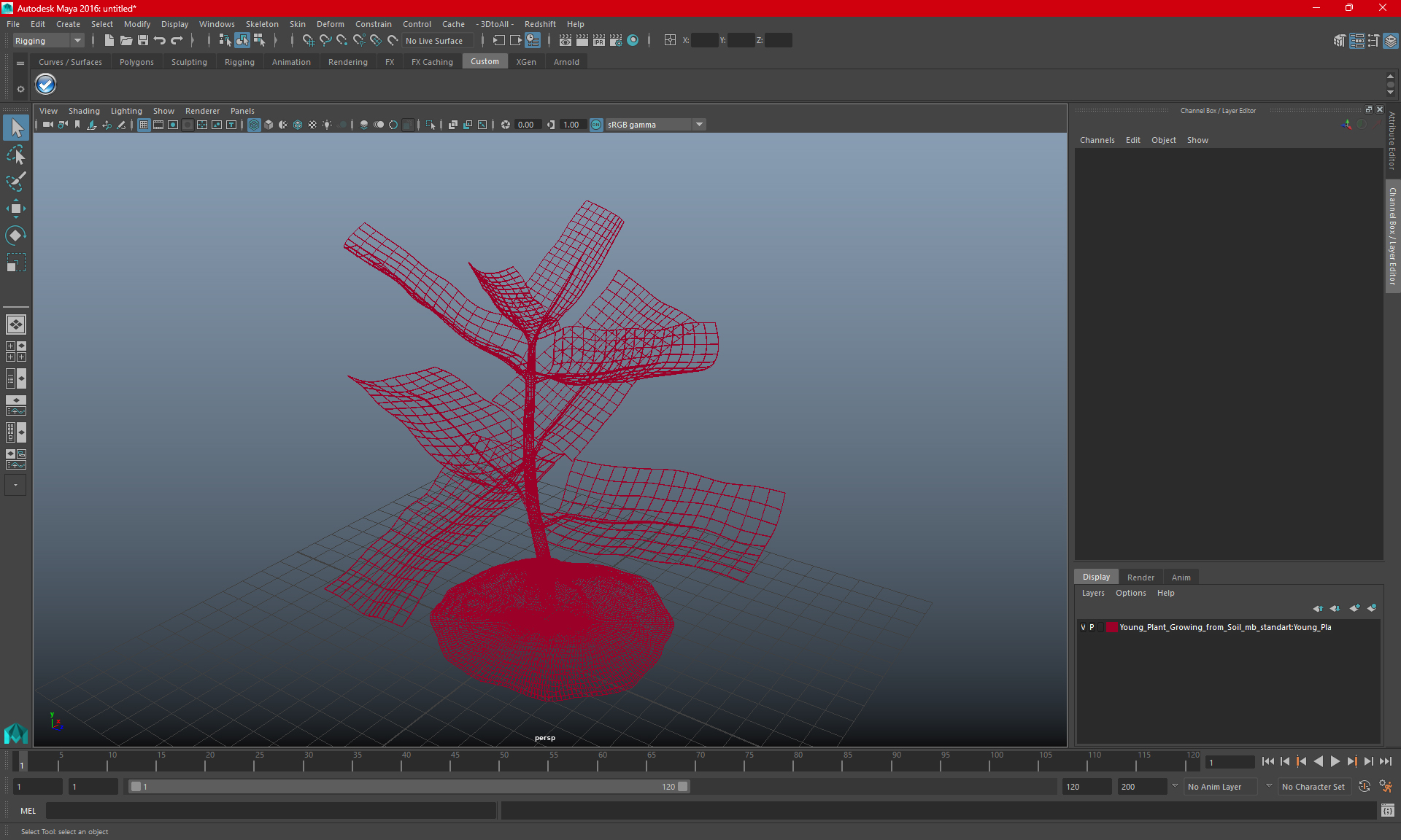 Young Plant Growing from Soil 3D model