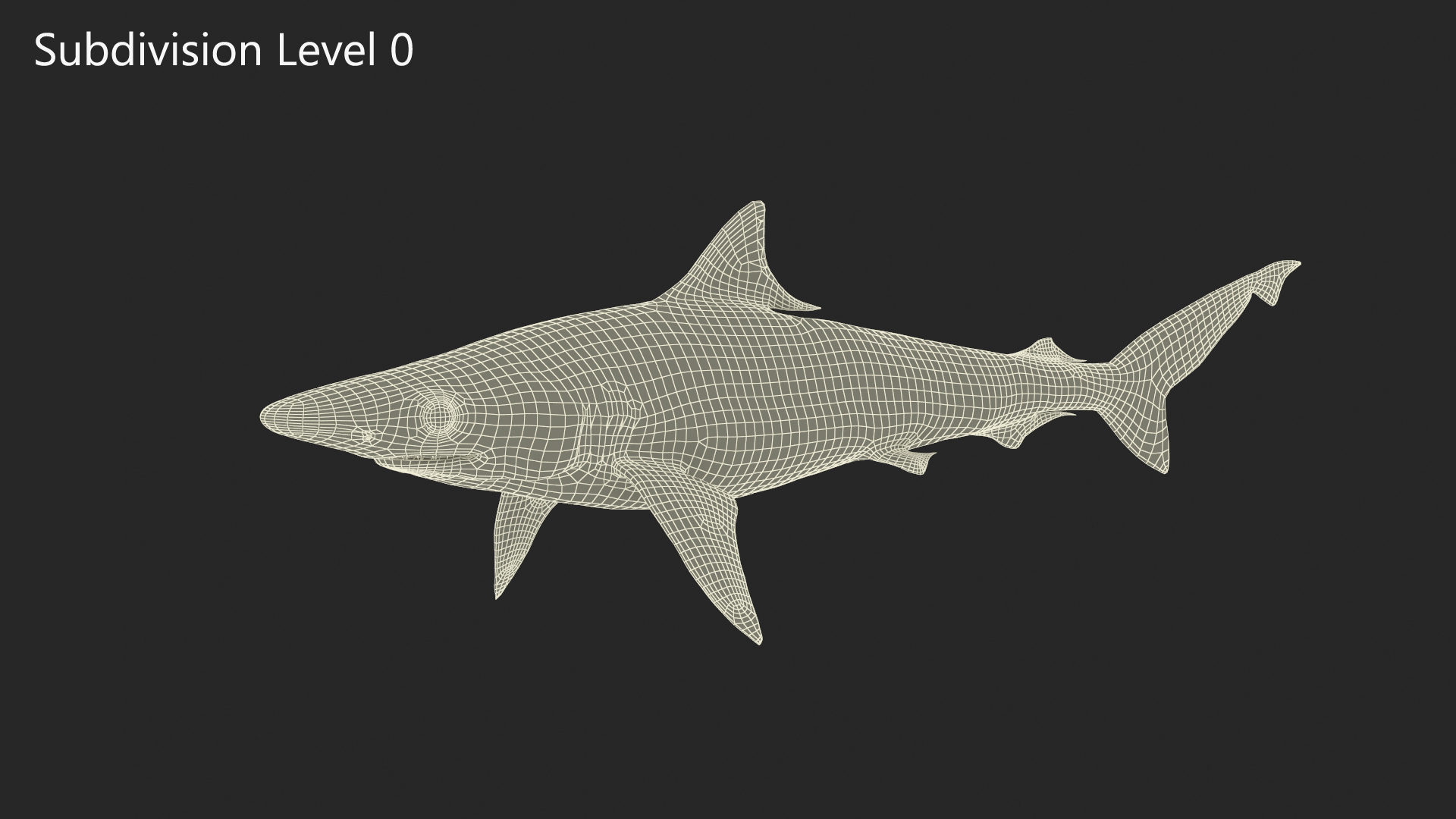 3D model Oceanic Milk Shark Rigged