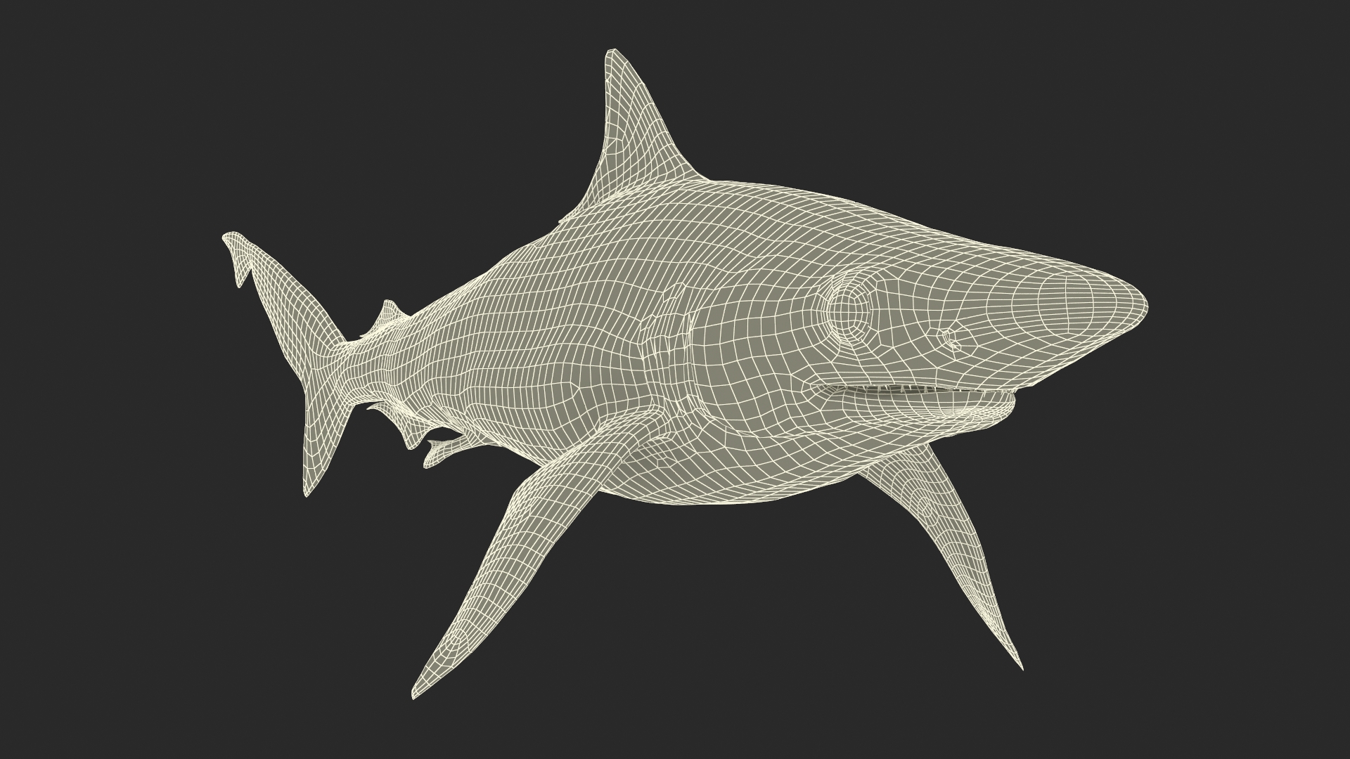 3D model Oceanic Milk Shark Rigged