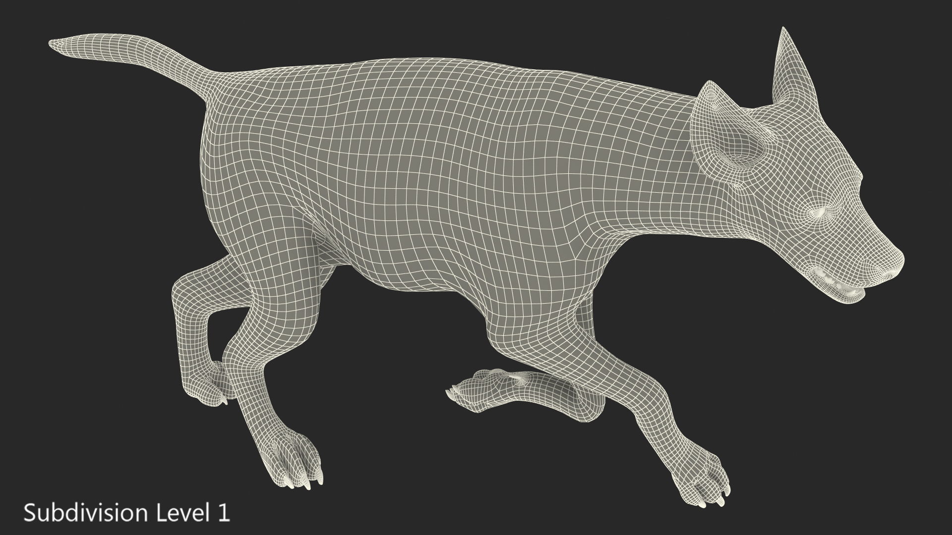 3D Hyena Running Pose model