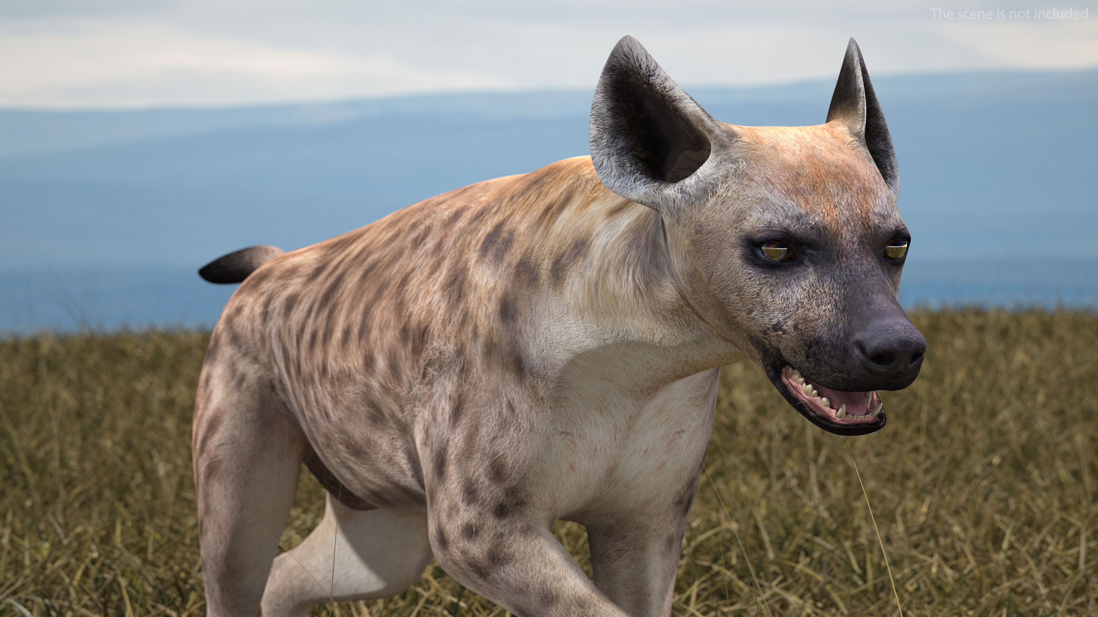 3D Hyena Running Pose model