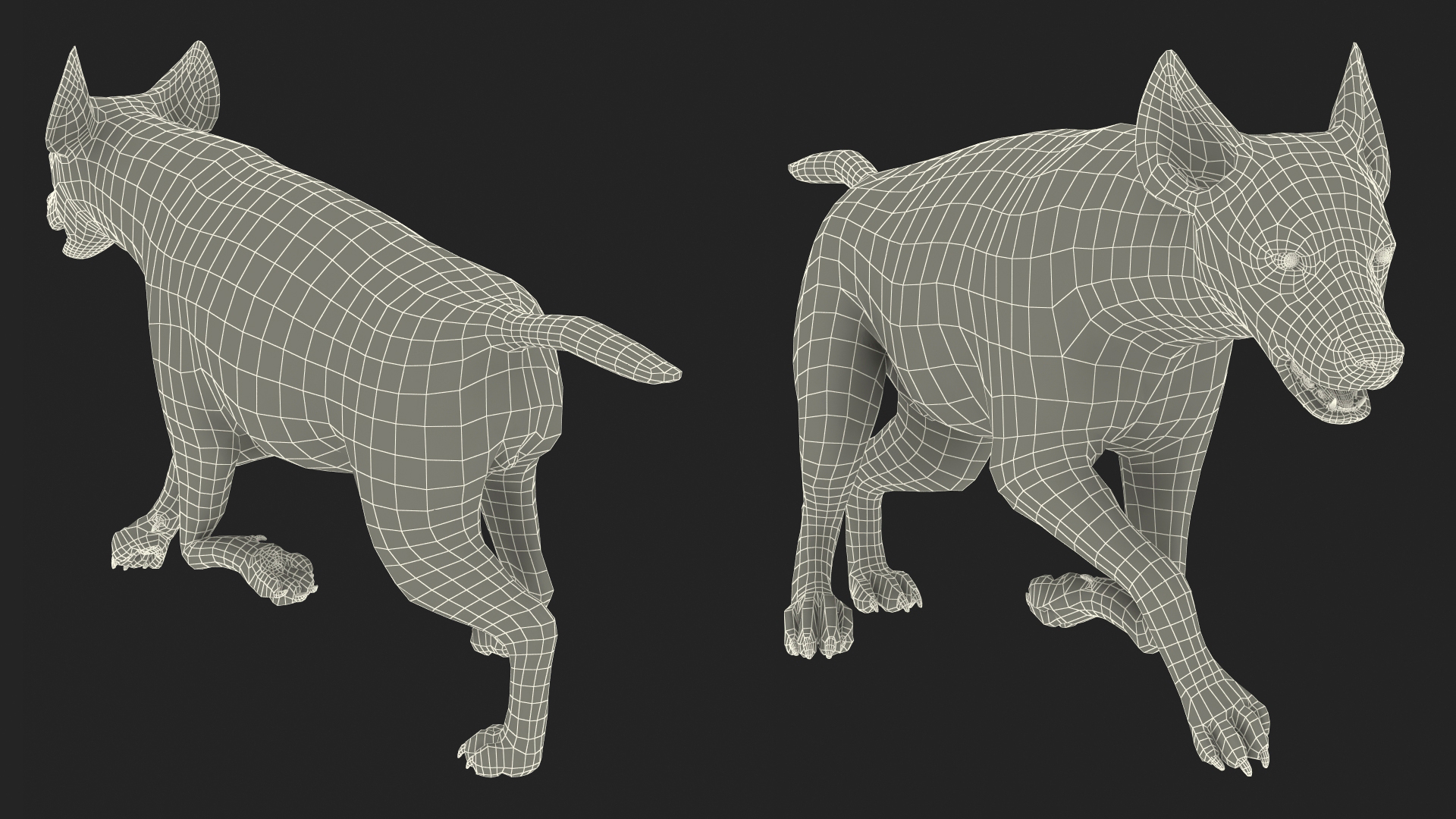 3D Hyena Running Pose model