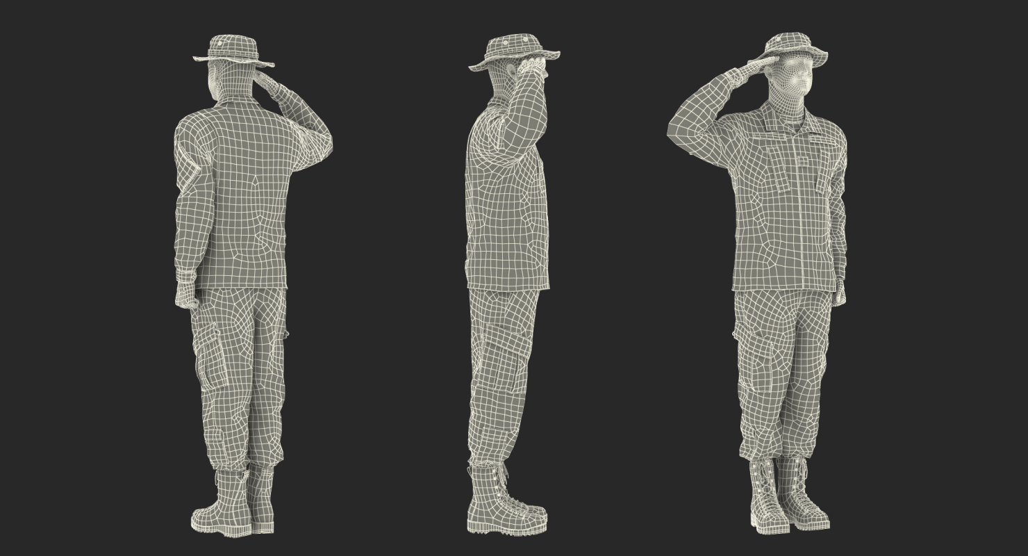 US Army Soldier Camo Saluting 3D model