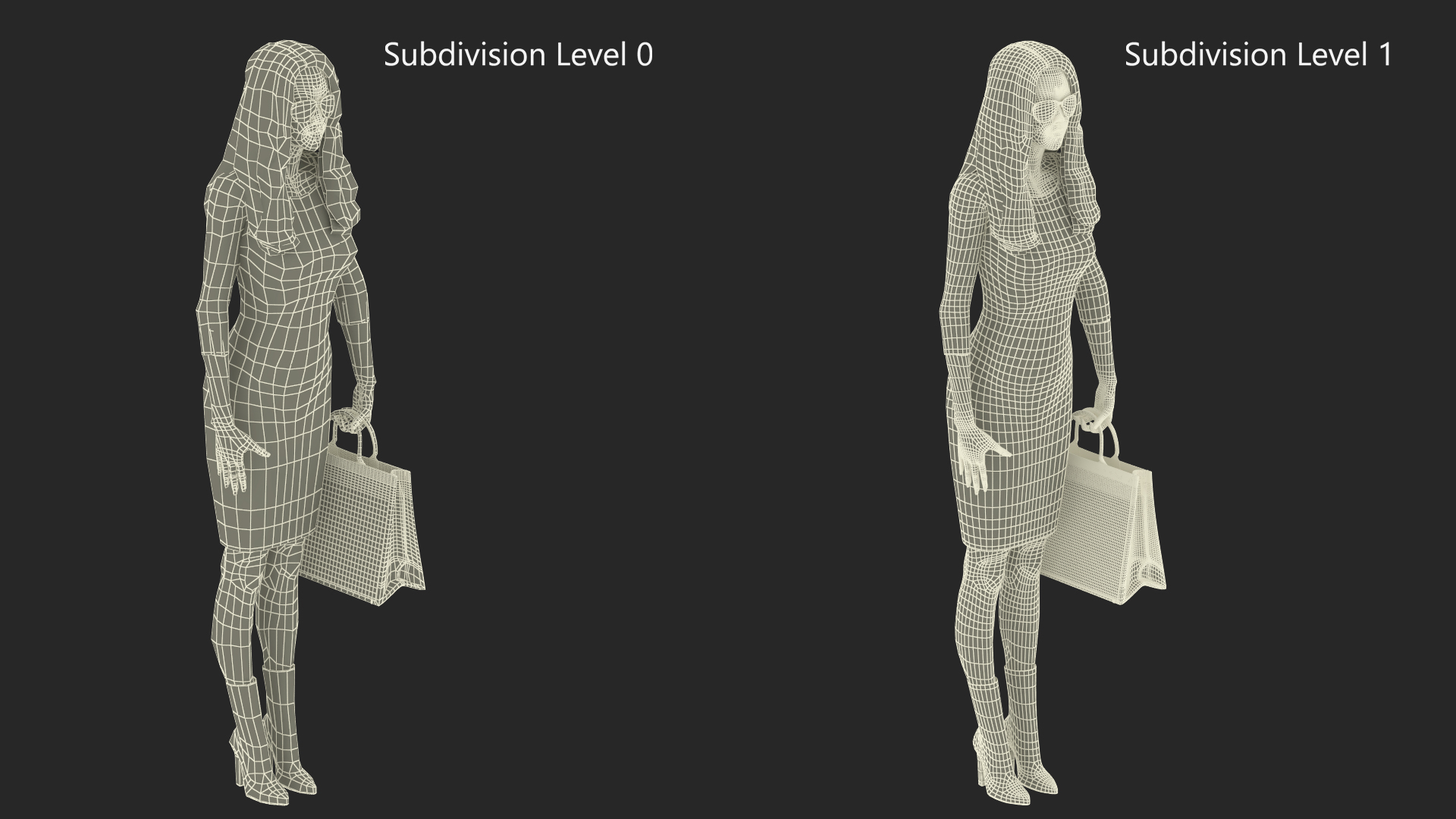 Lady with Dior Ecru and Blue Tote Bag 3D