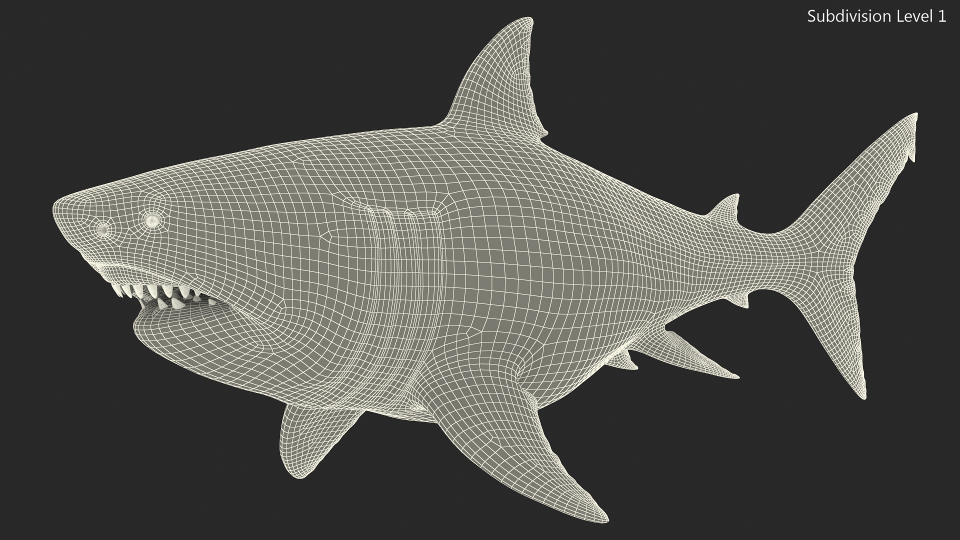 3D Megalodon Swimming Pose model