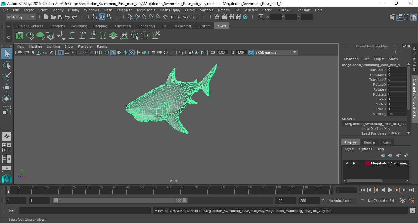 3D Megalodon Swimming Pose model