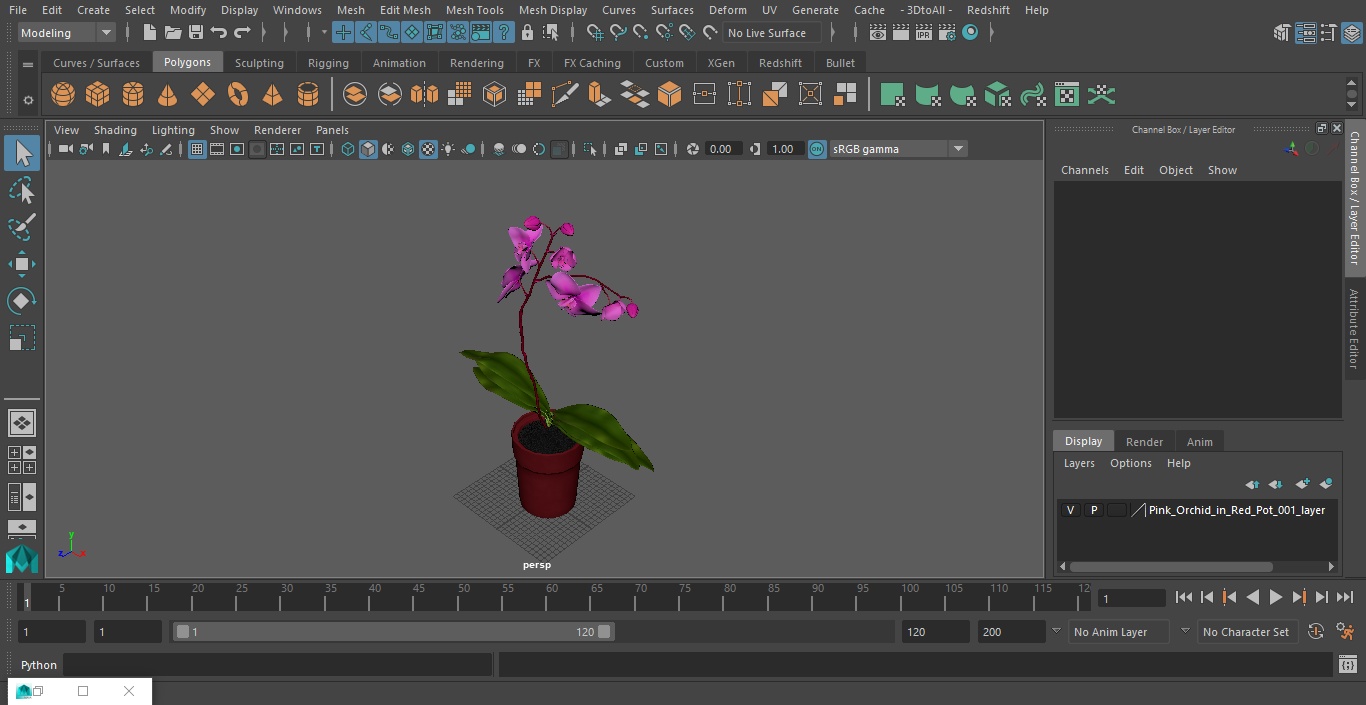 Pink Orchid in Red Pot 3D