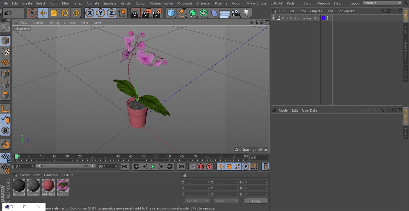 Pink Orchid in Red Pot 3D