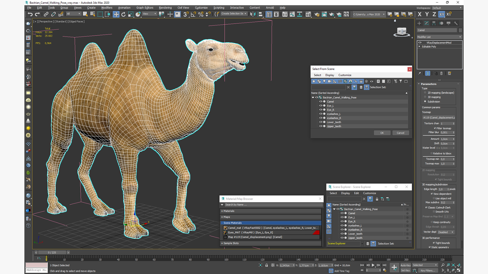 Bactrian Camel Walking Pose 3D