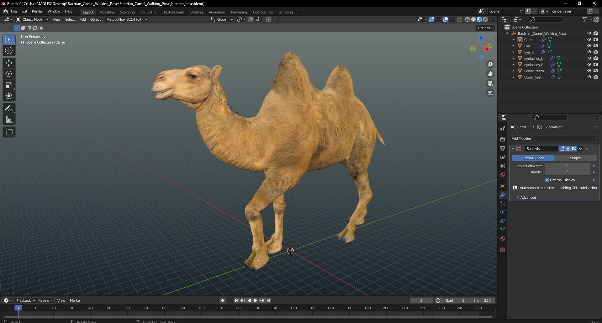 Bactrian Camel Walking Pose 3D