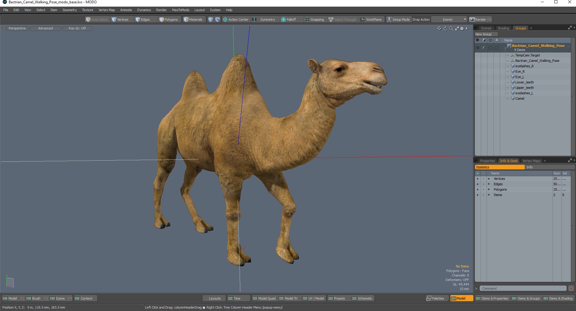 Bactrian Camel Walking Pose 3D