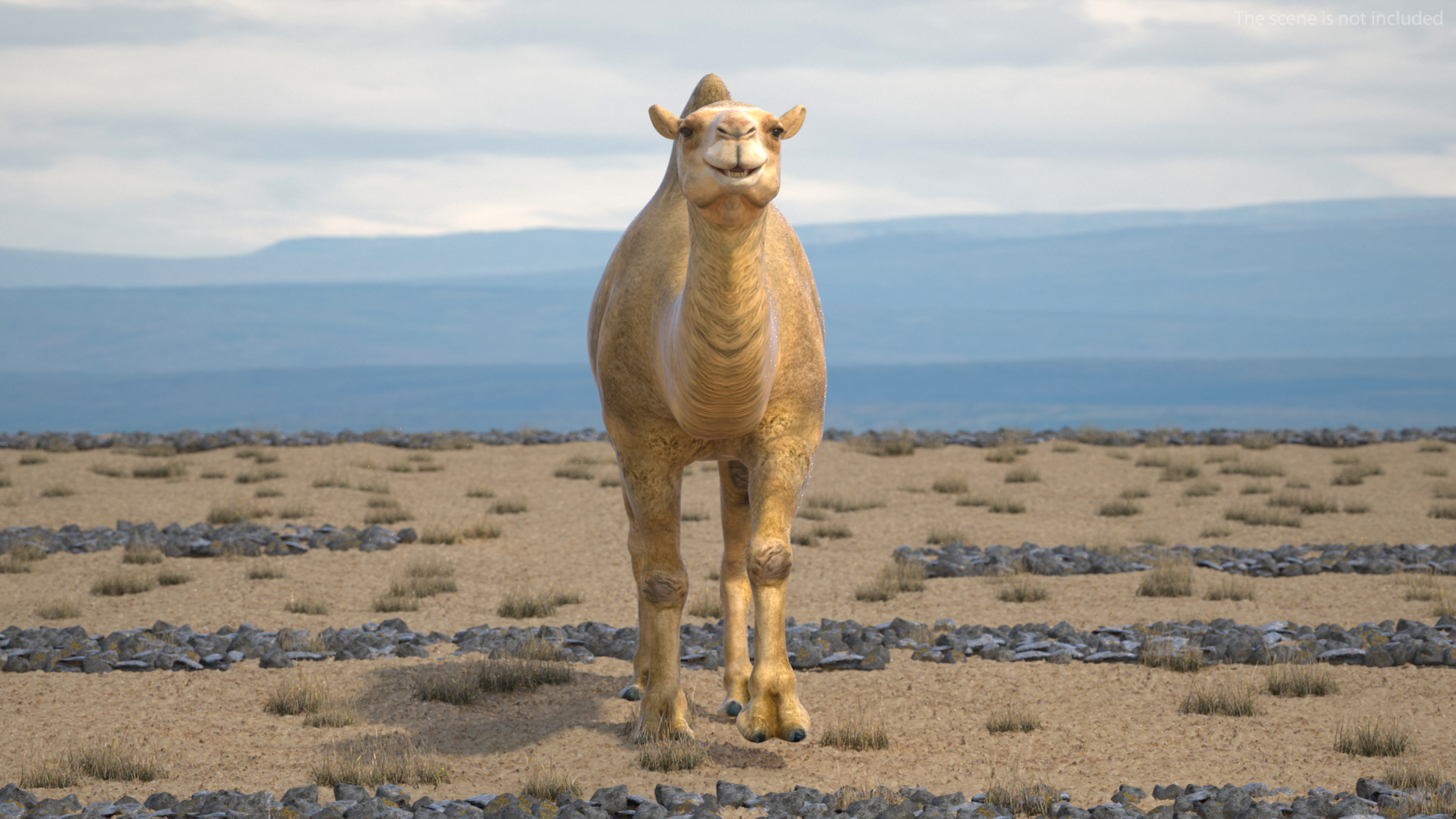 Bactrian Camel Walking Pose 3D