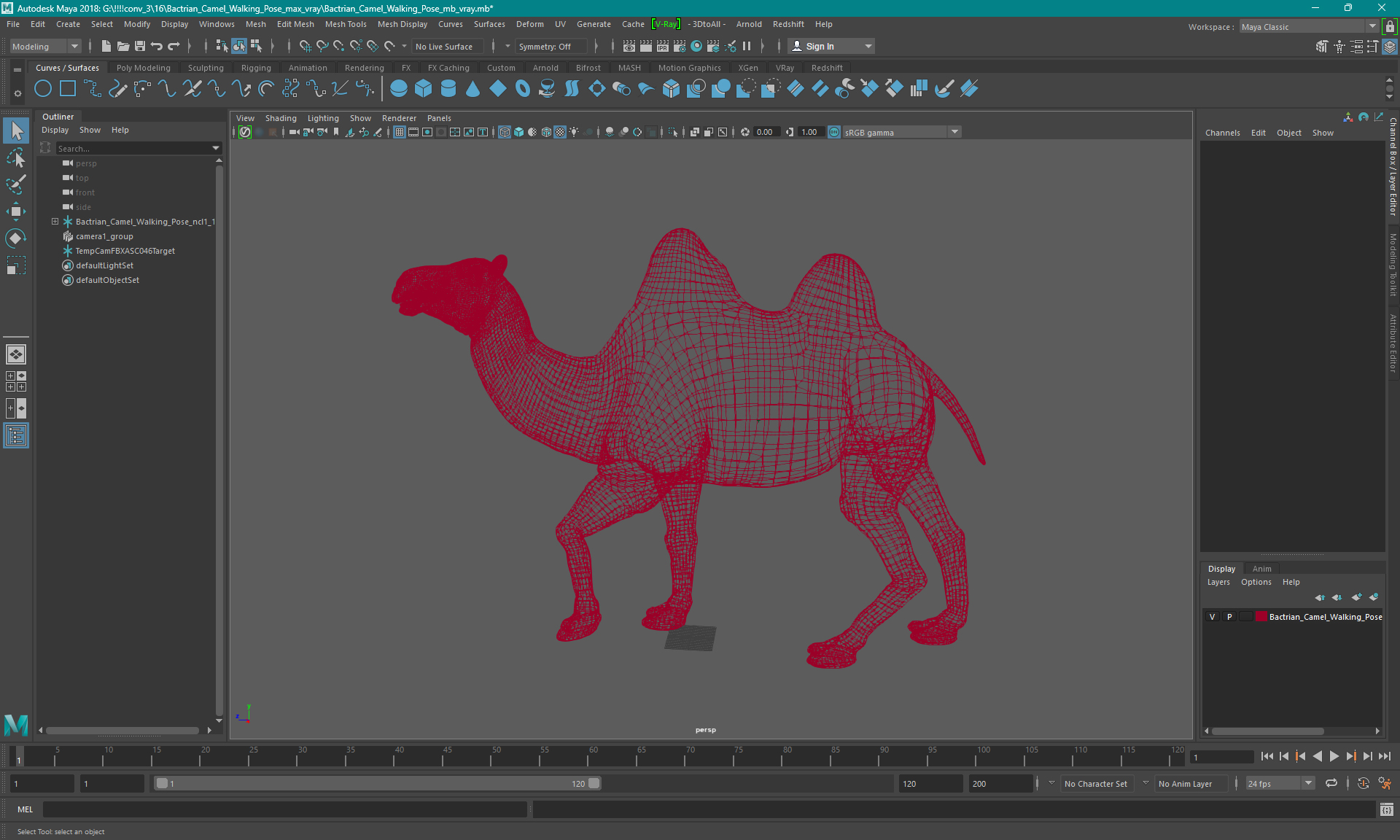 Bactrian Camel Walking Pose 3D