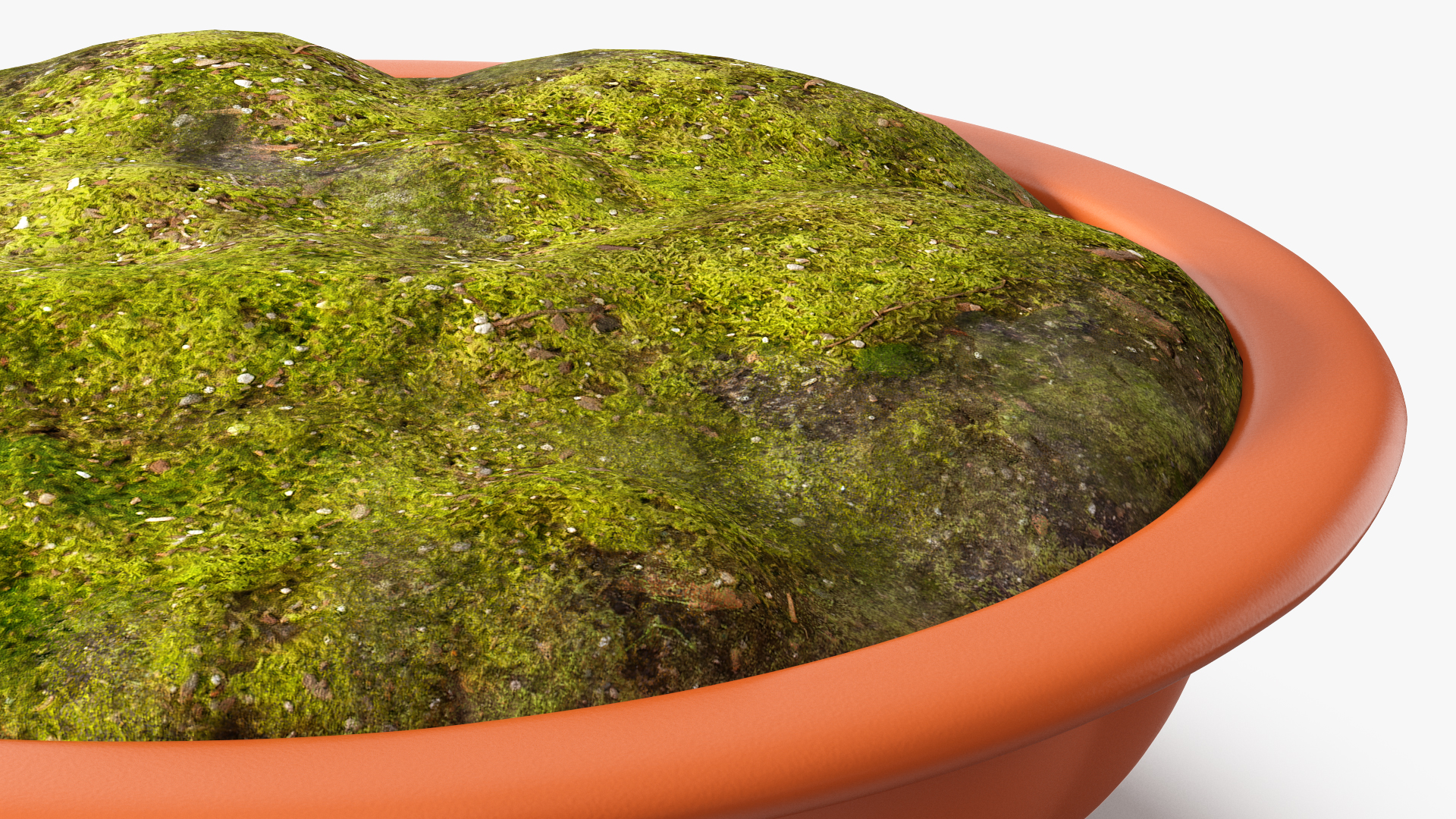 3D Wide Shallow Flower Pot with Soil model