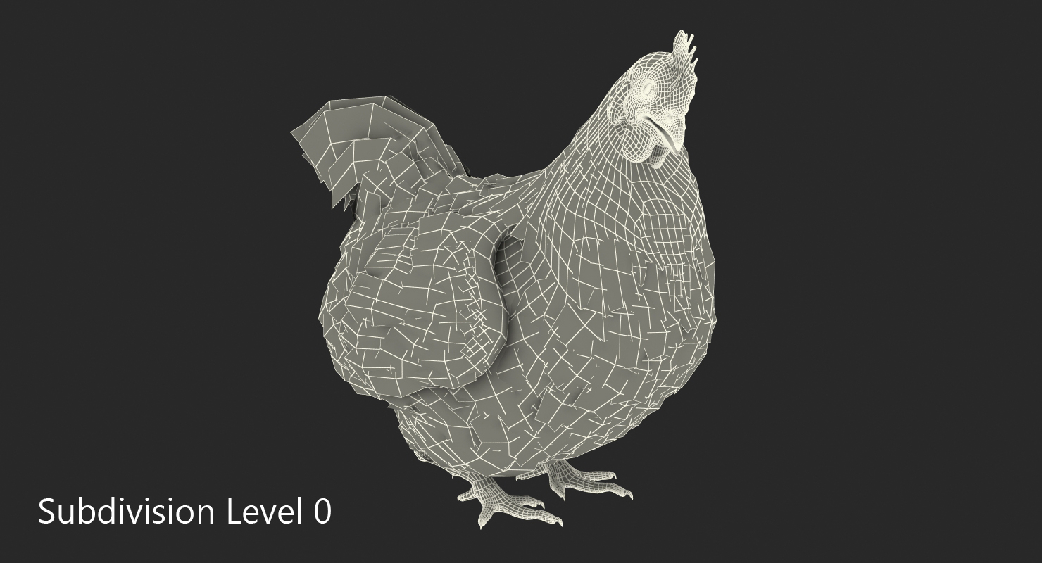 Chicken Rigged 3D model