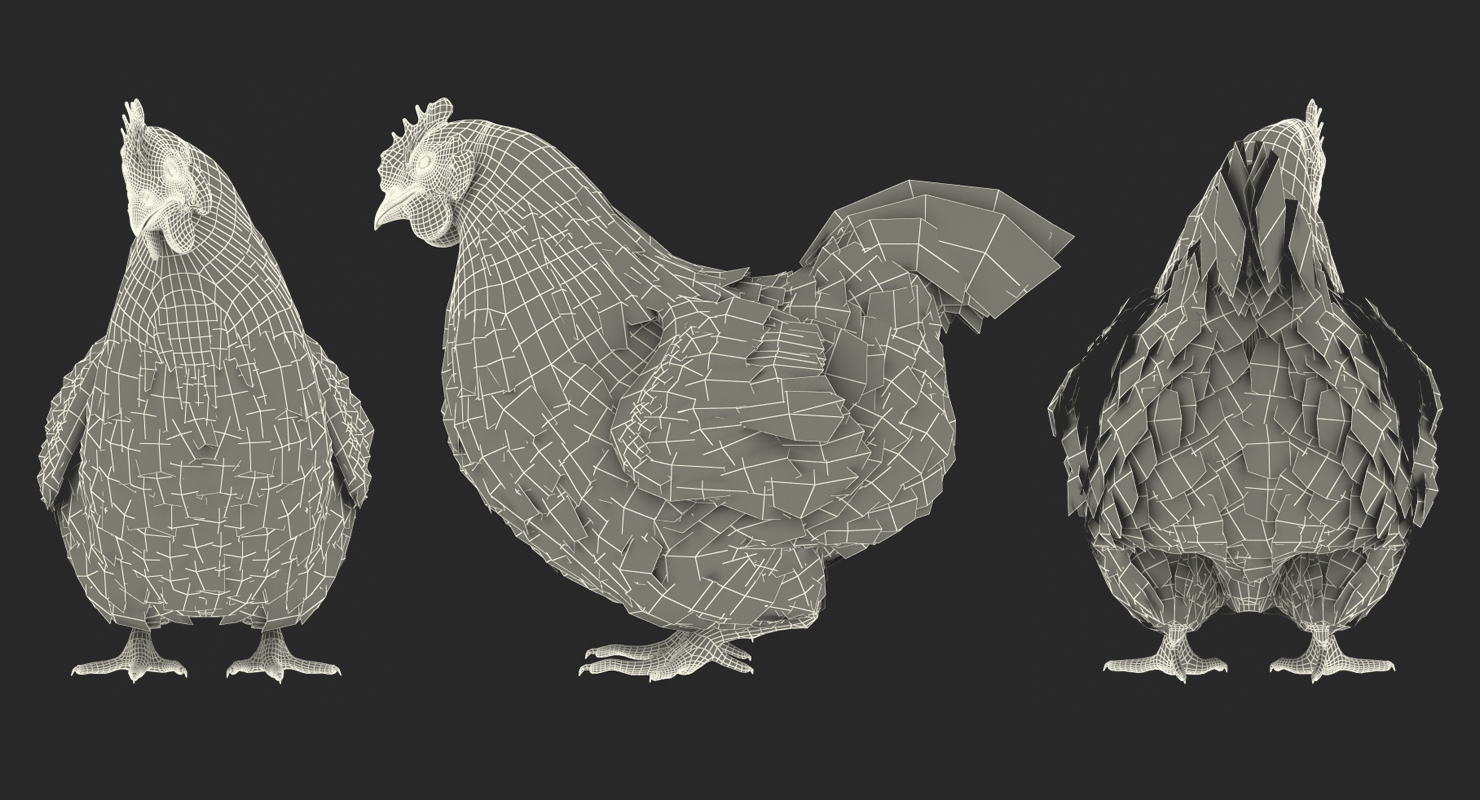 Chicken Rigged 3D model