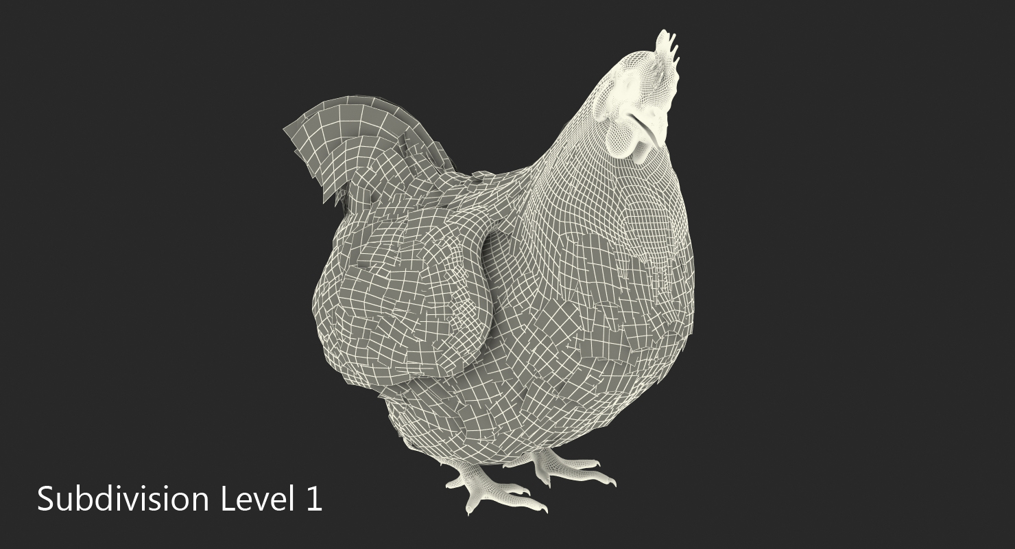 Chicken Rigged 3D model