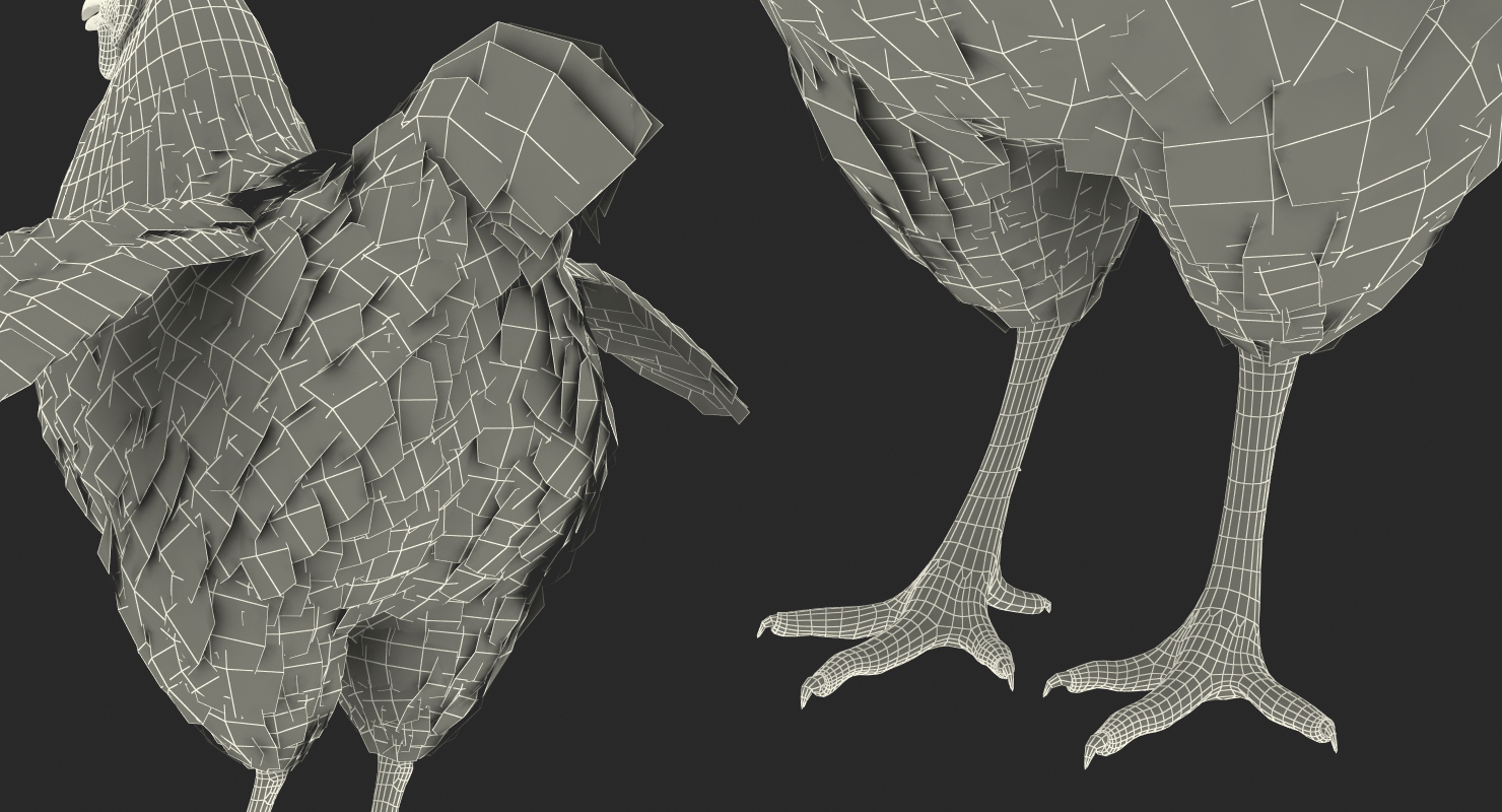 Chicken Rigged 3D model