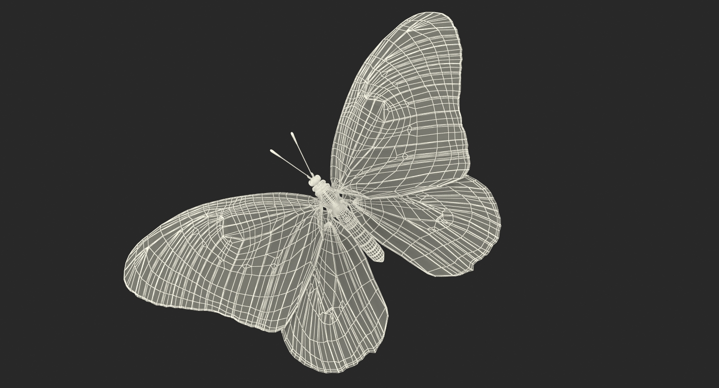 3D Danaus Plexippus Butterfly