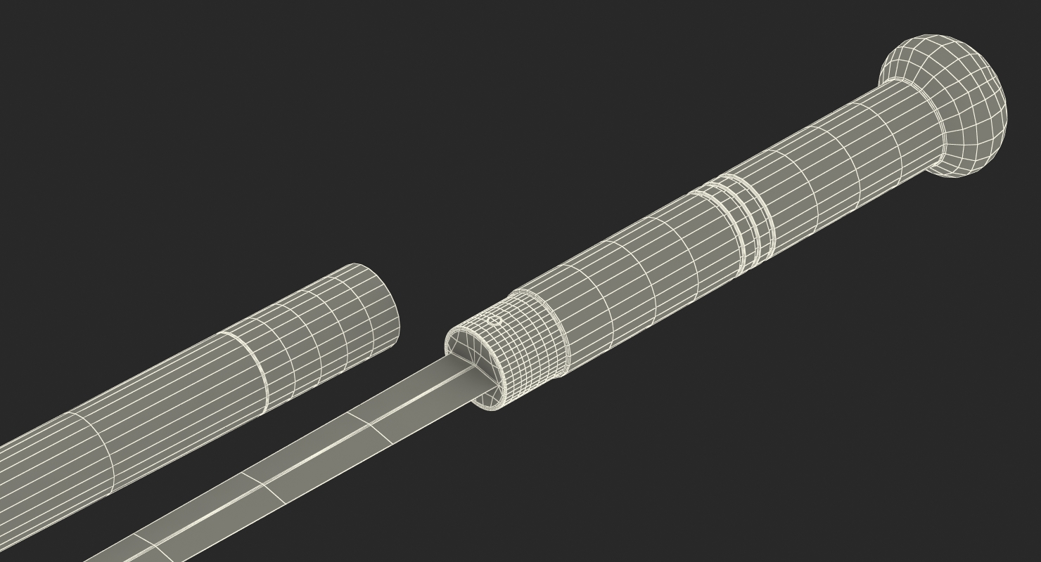 3D model Swordstick