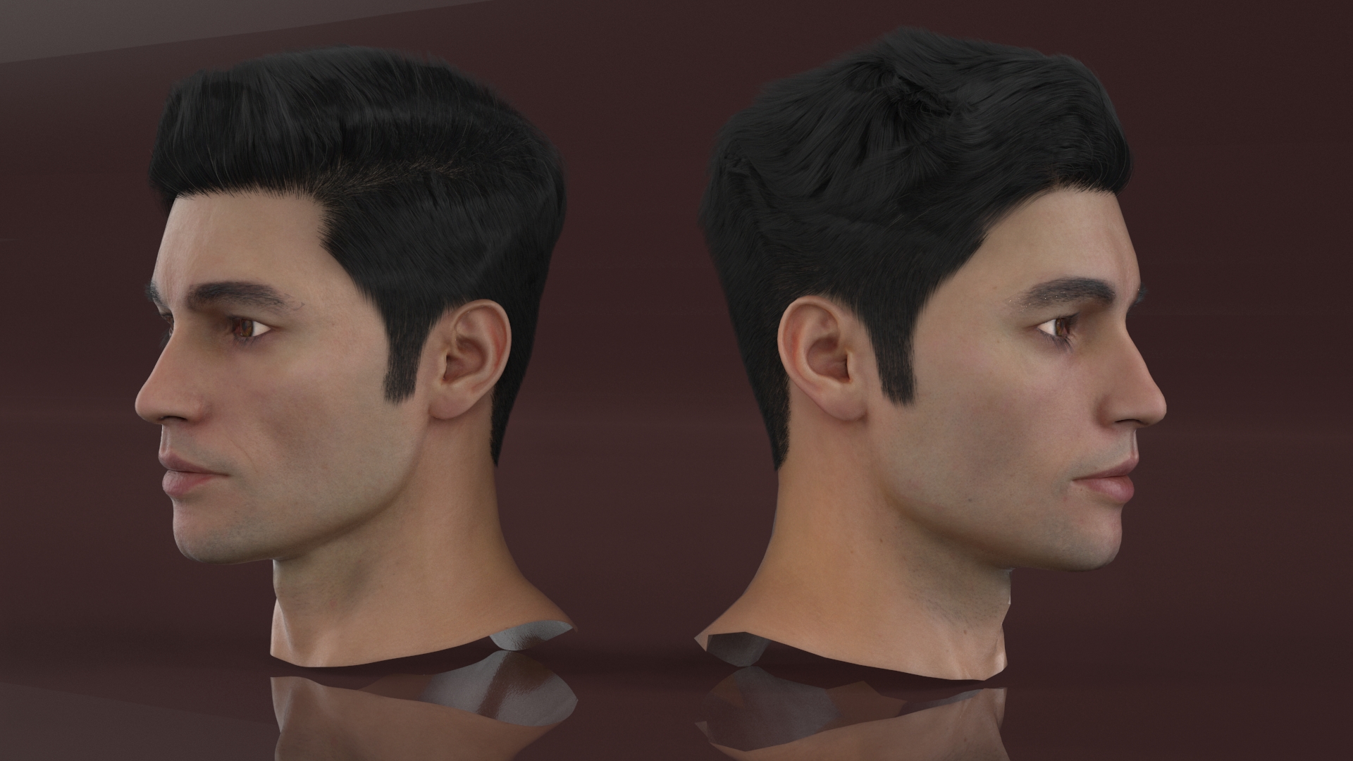 3D Male Head Fur model