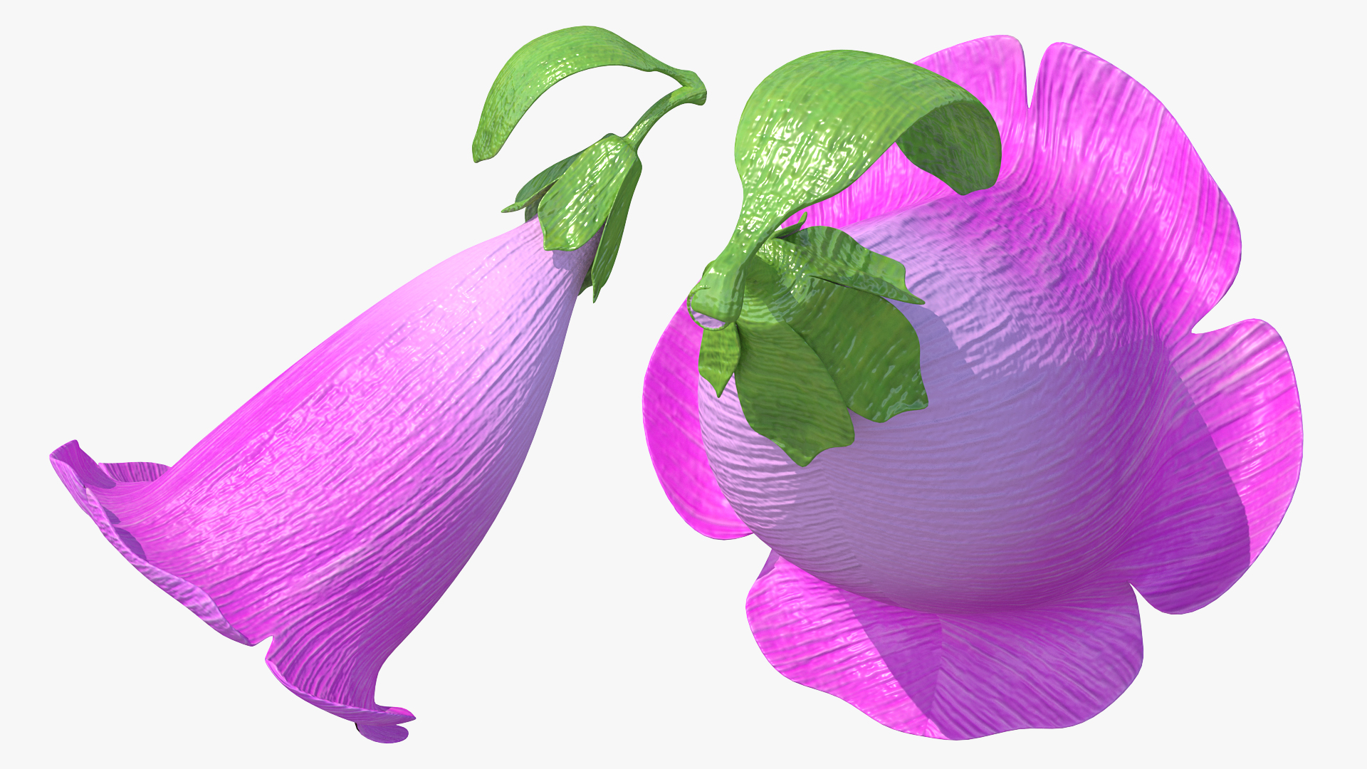 Purple Foxglove Flower 3D