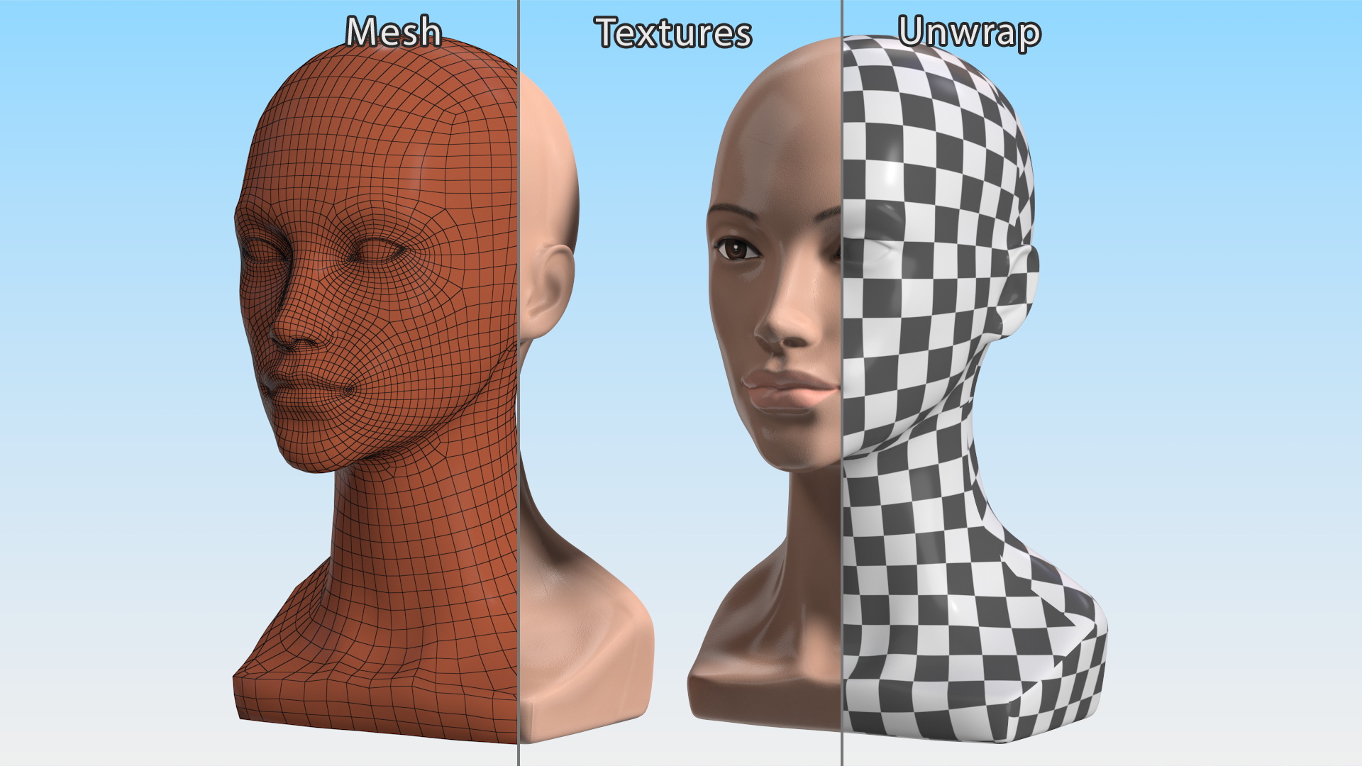 Nude Plastic Female Mannequin Head 3D model