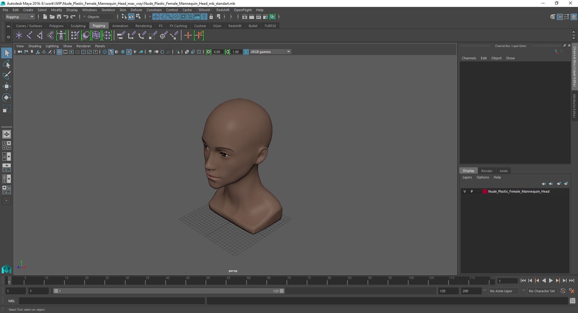 Nude Plastic Female Mannequin Head 3D model