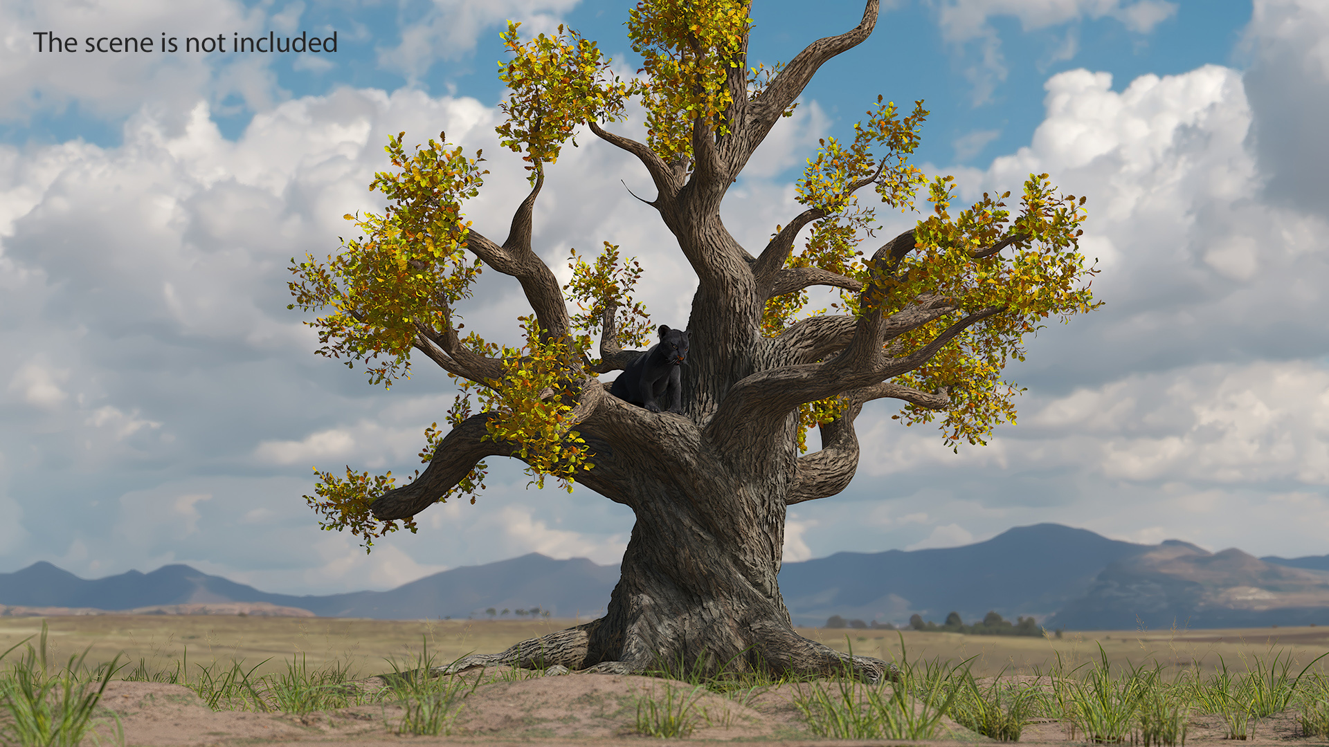 3D model Black Panther Cub on Ancient Twisted Tree Fur