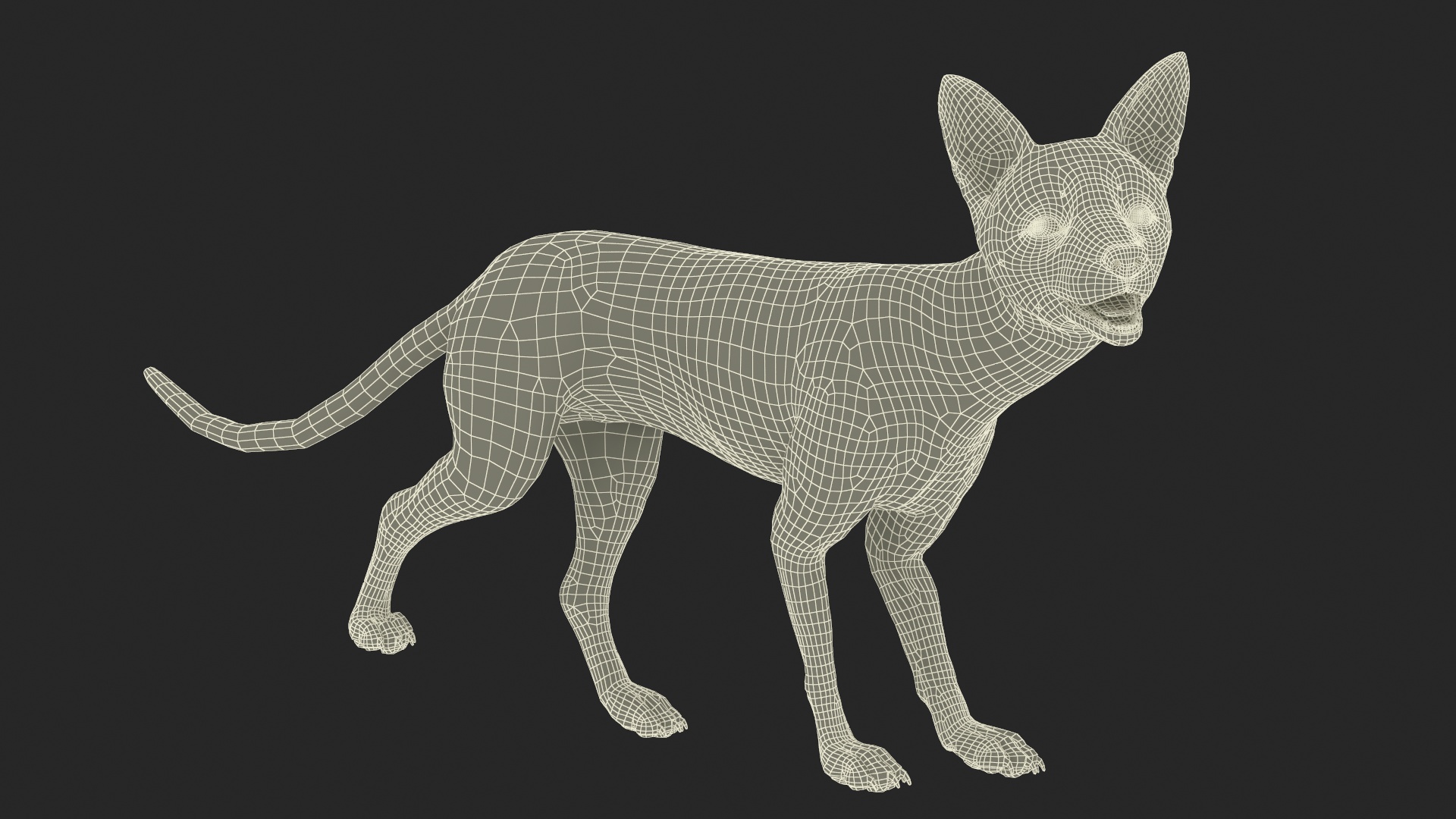 Fox Fur Rigged 3D model