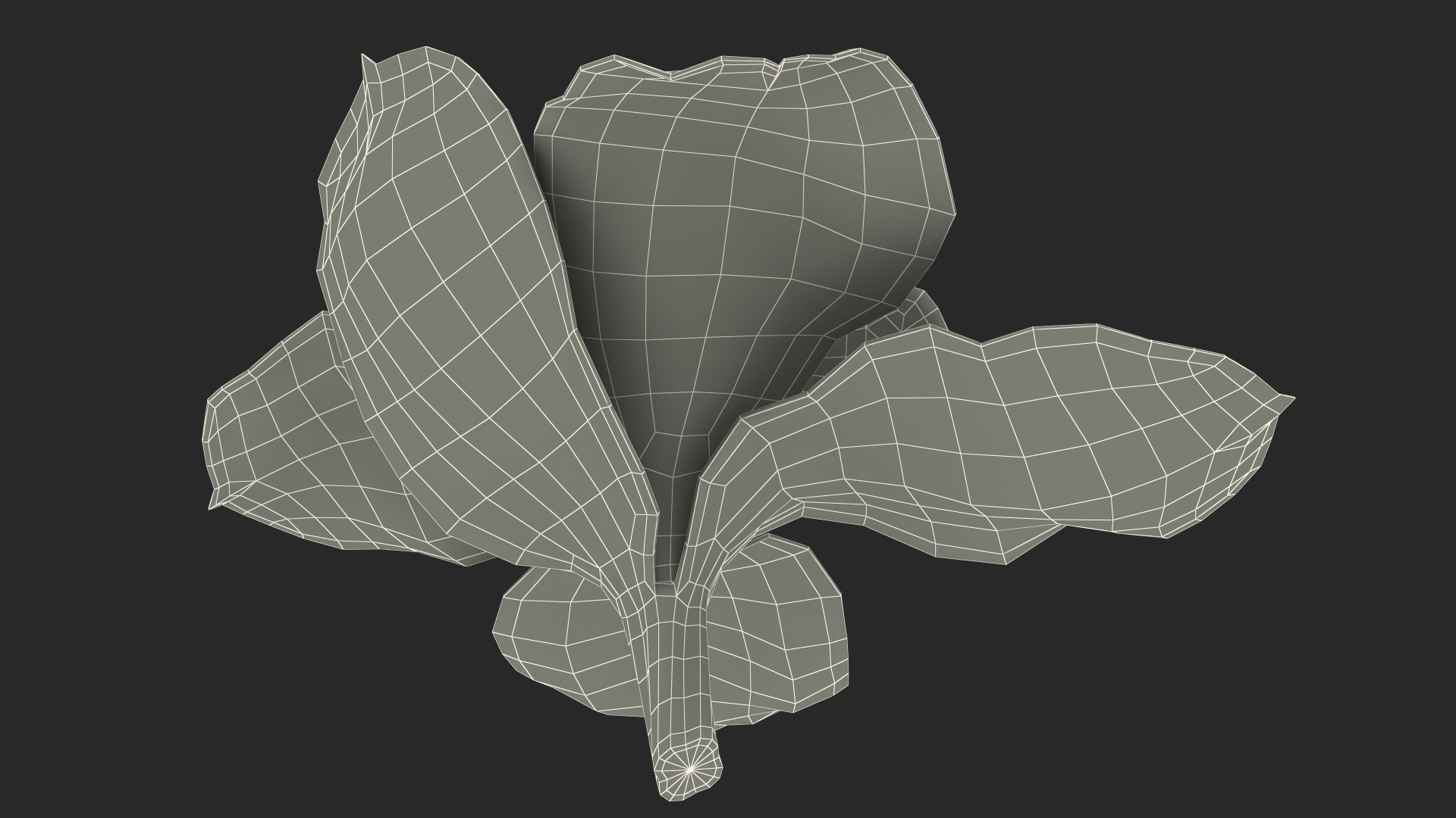 Hybrid Orchid Green 3D model