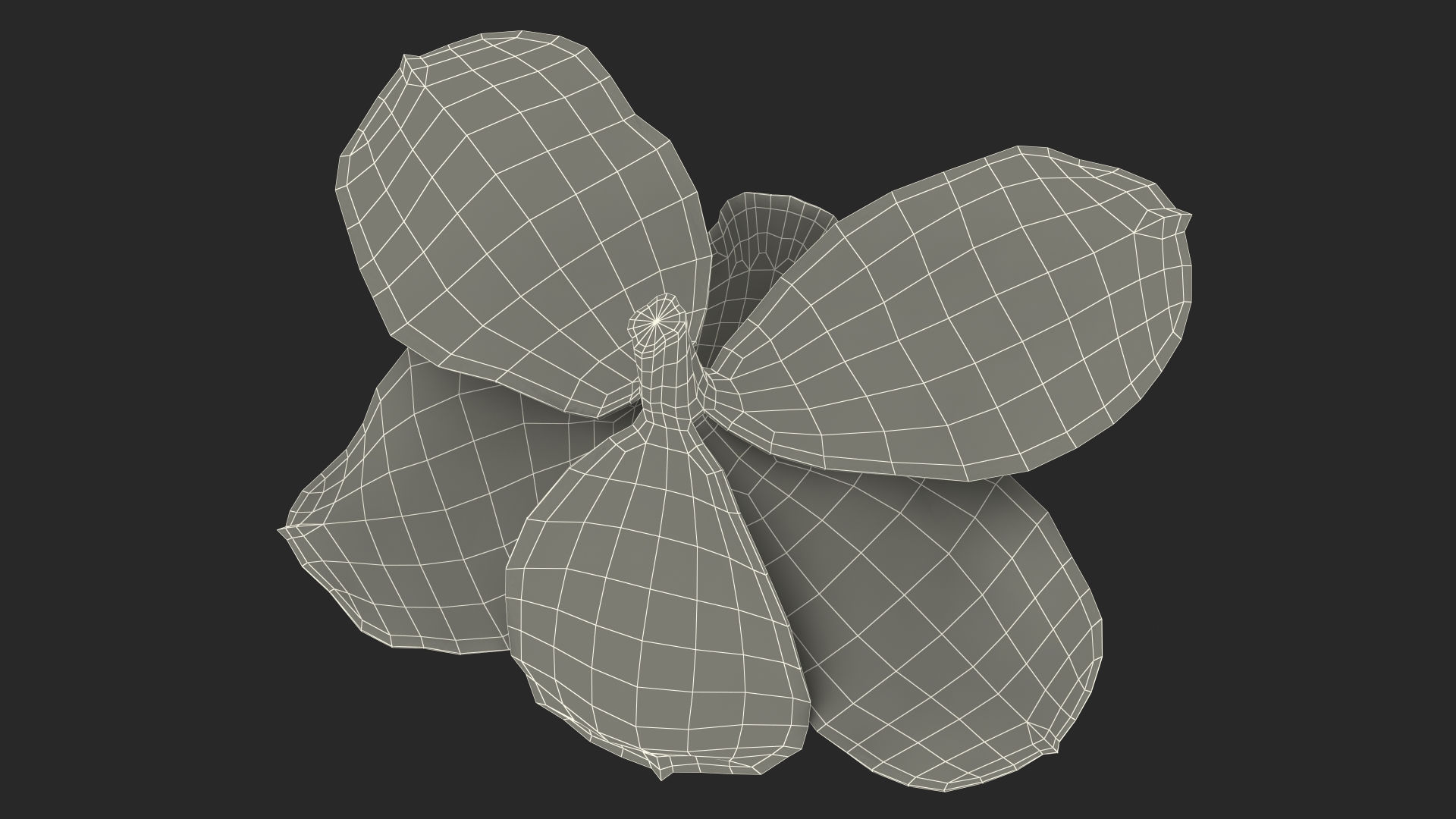 Hybrid Orchid Green 3D model