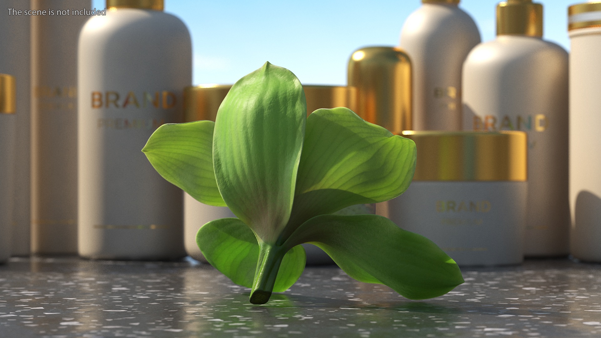 Hybrid Orchid Green 3D model