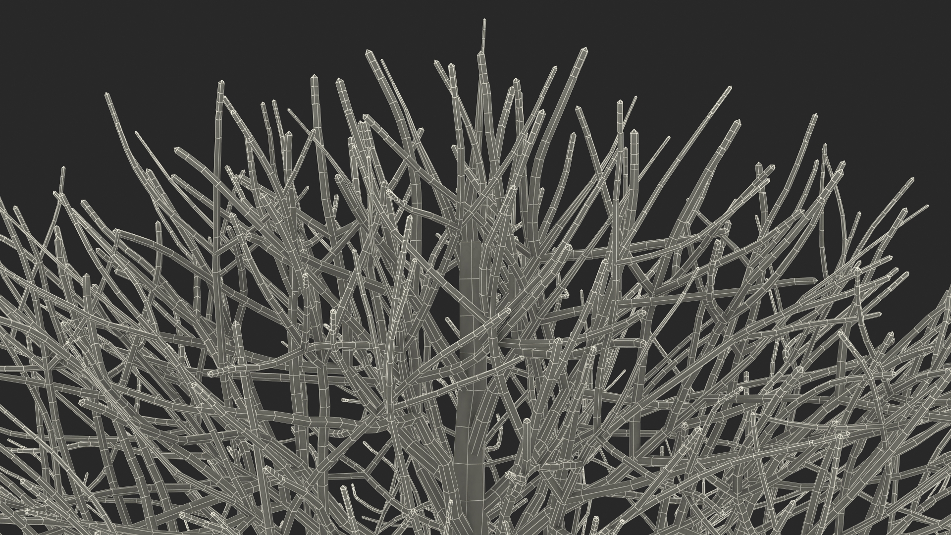 3D model Bark Shrub