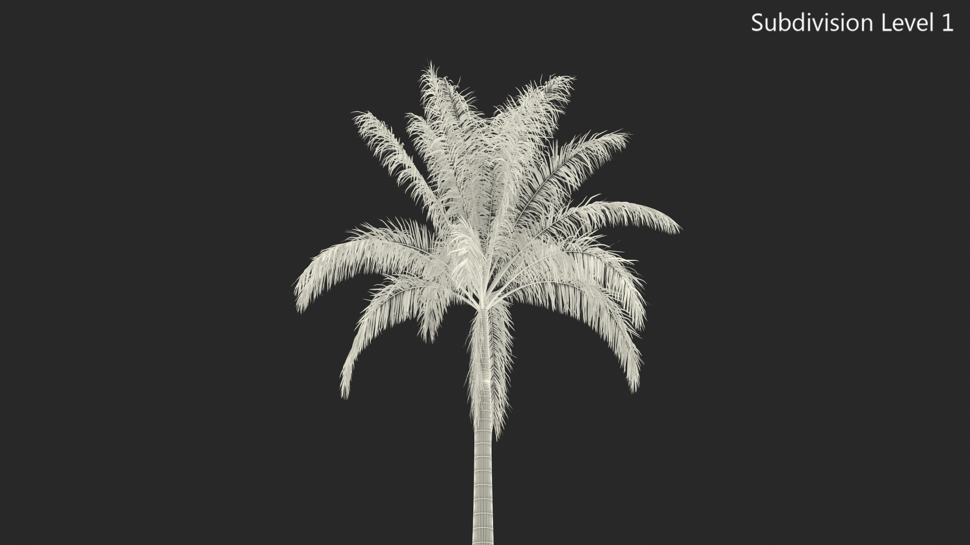 Roystonea Regia Cuban Royal Palm 3D