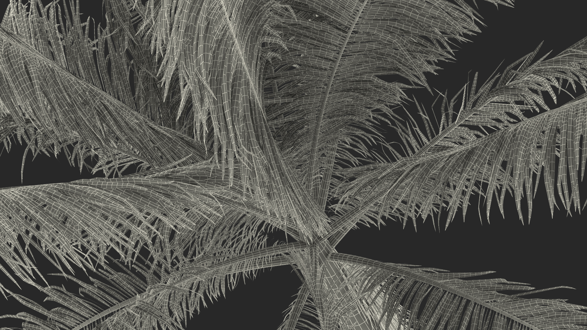 Roystonea Regia Cuban Royal Palm 3D