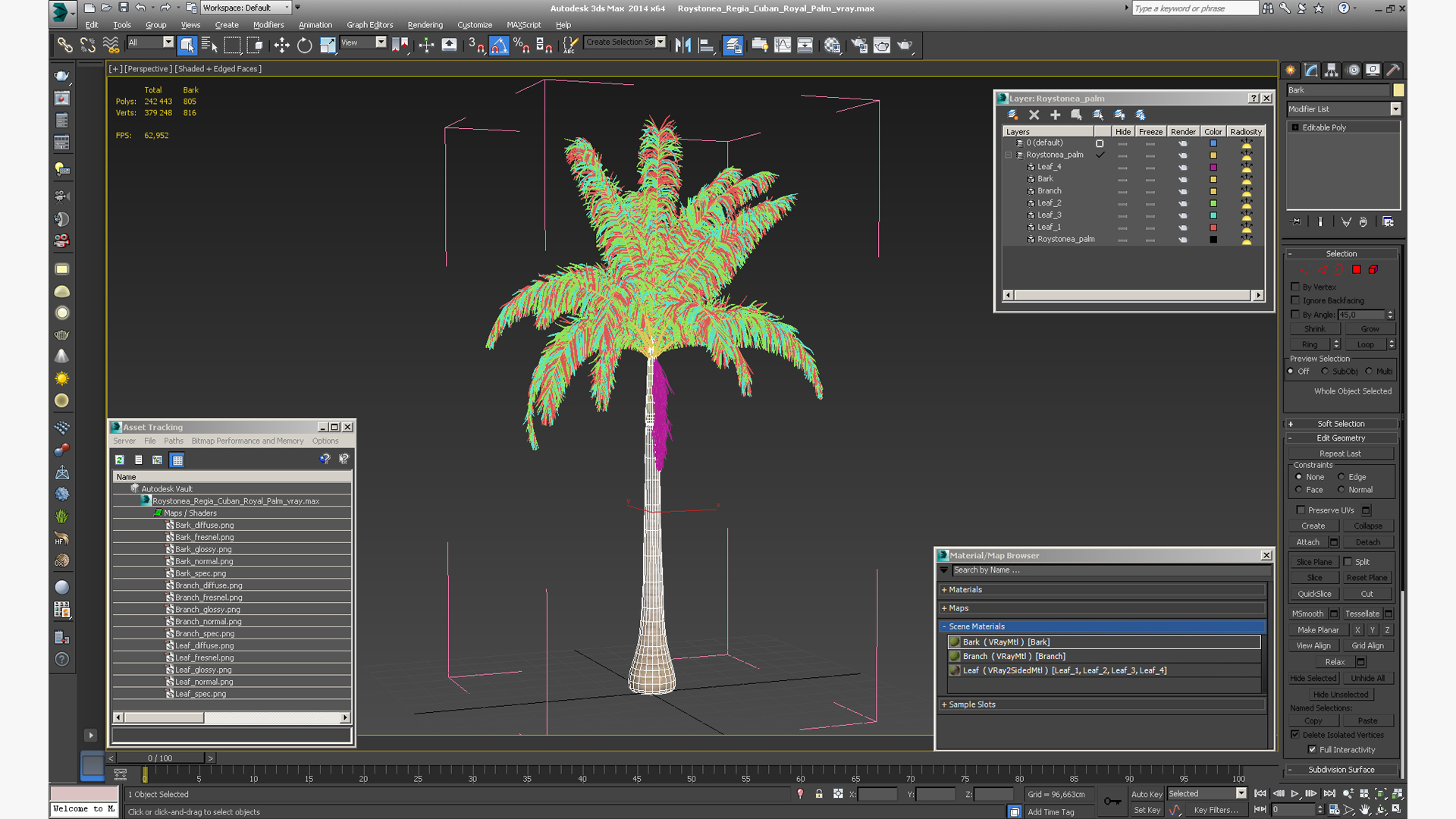 Roystonea Regia Cuban Royal Palm 3D